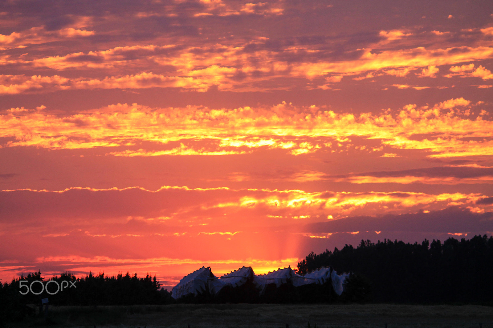 Sigma 150-500mm F5-6.3 DG OS HSM sample photo. Red sunset photography