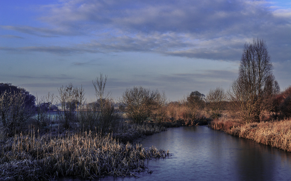 Canon EF 16-35mm F4L IS USM sample photo. Winter pond photography