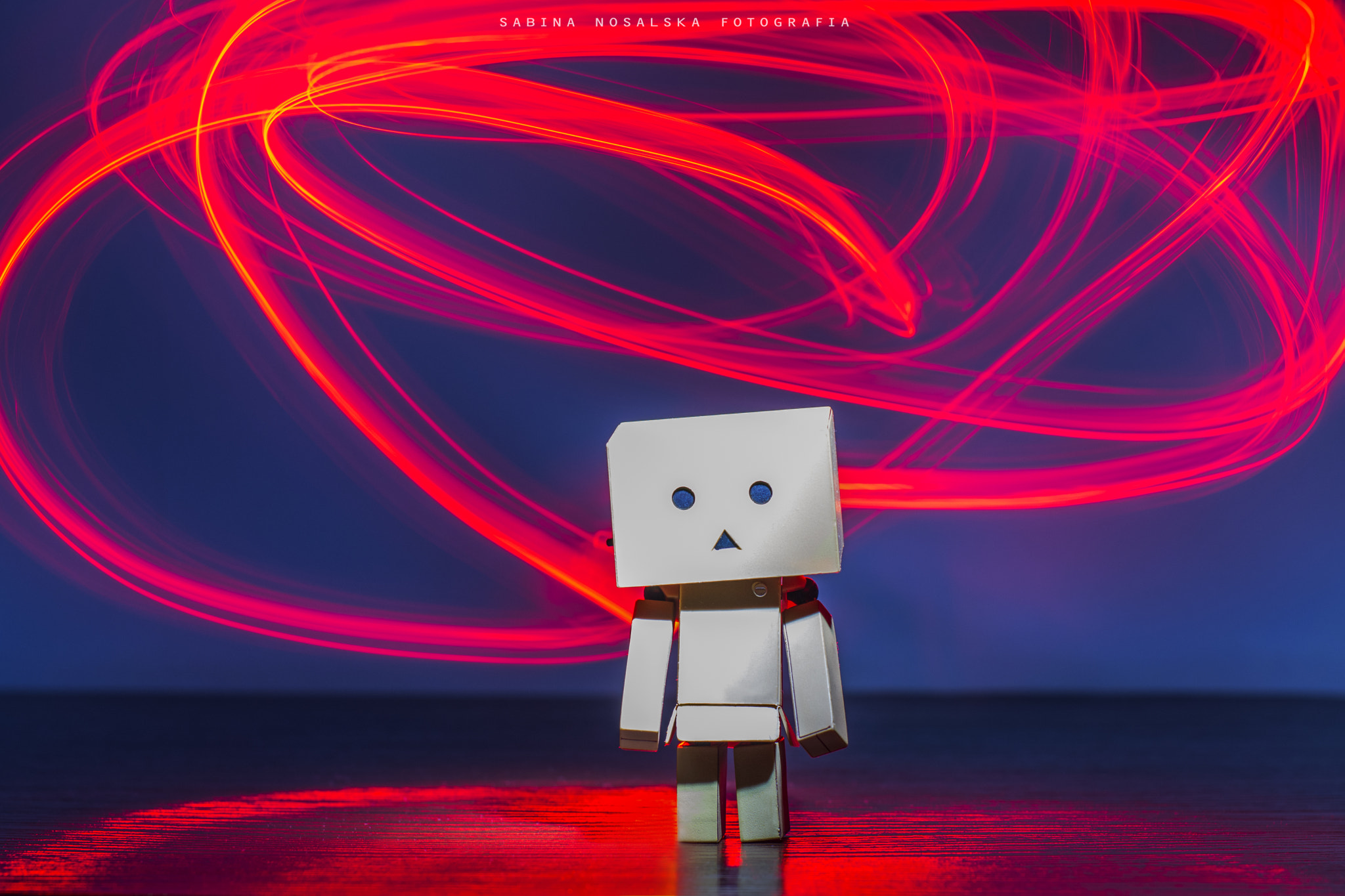 Nikon D7100 + AF Nikkor 50mm f/1.4 sample photo. Danbo photography