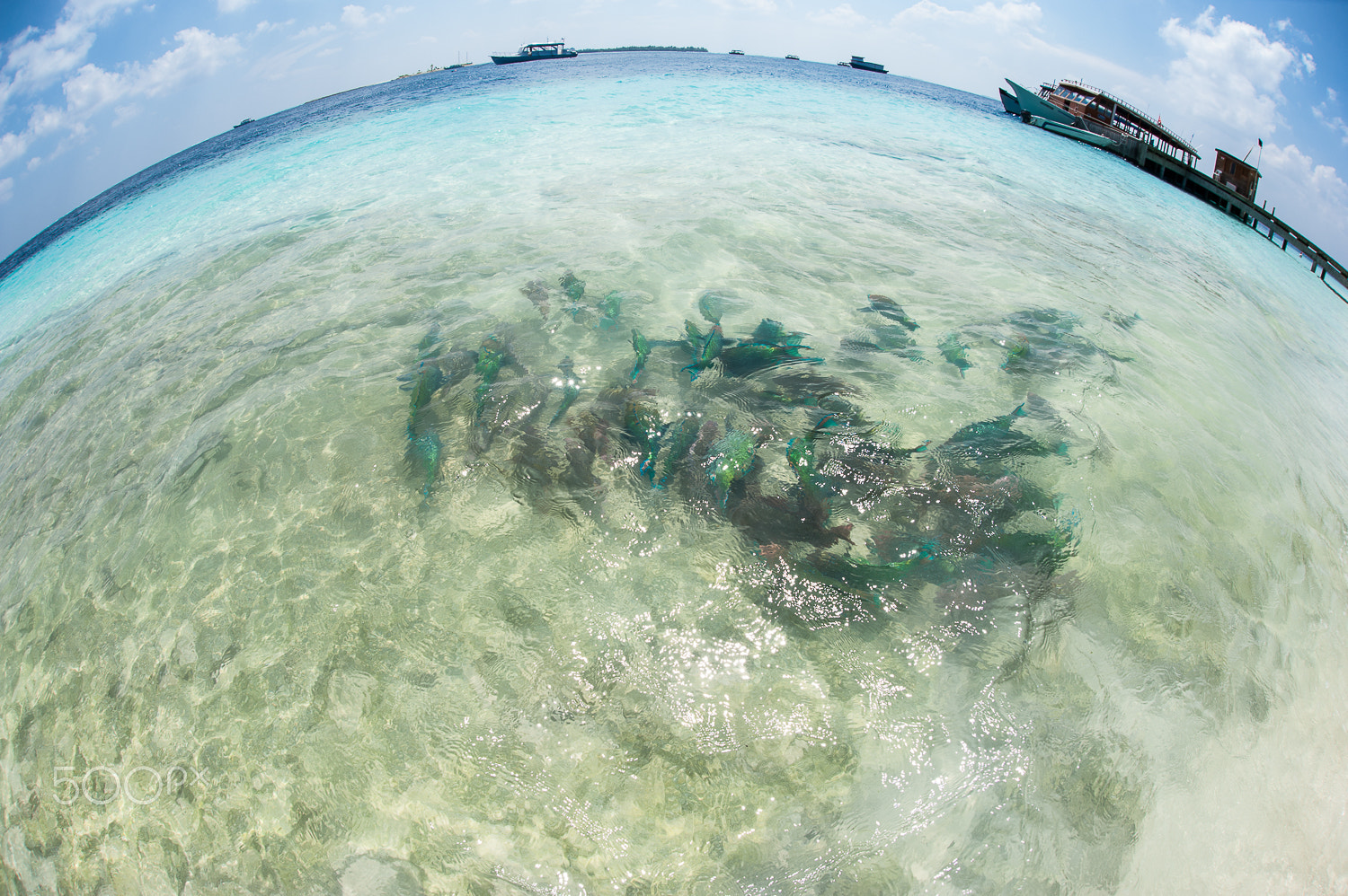 Nikon D700 + Sigma 15mm F2.8 EX DG Diagonal Fisheye sample photo. Vilamendhoo photography