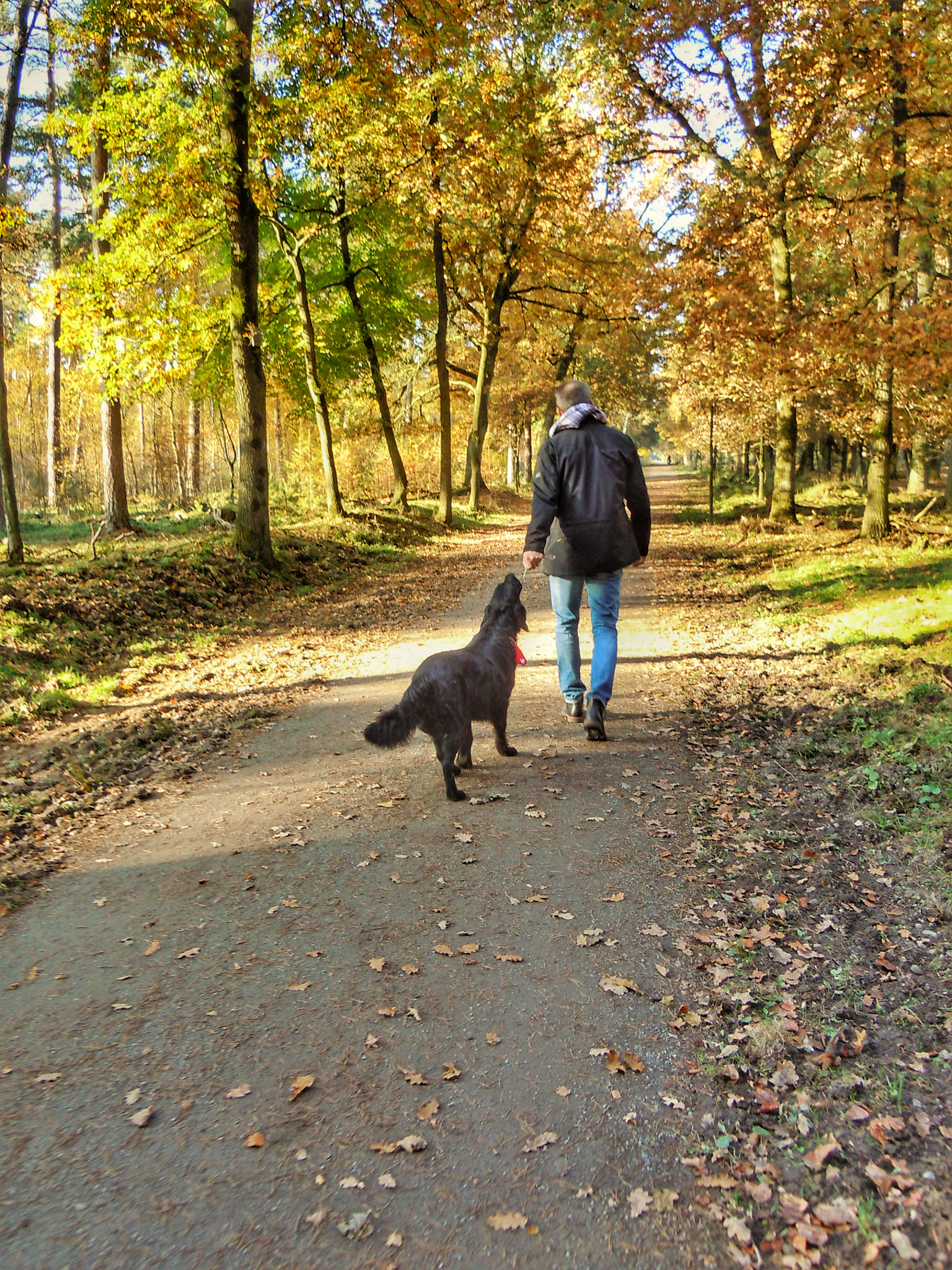 Nikon Coolpix S8000 sample photo. Spaziergang mit hund photography