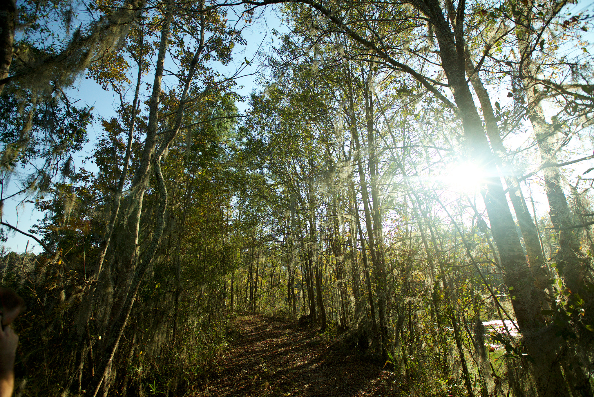 Sony a7S sample photo. Sniper lake photography