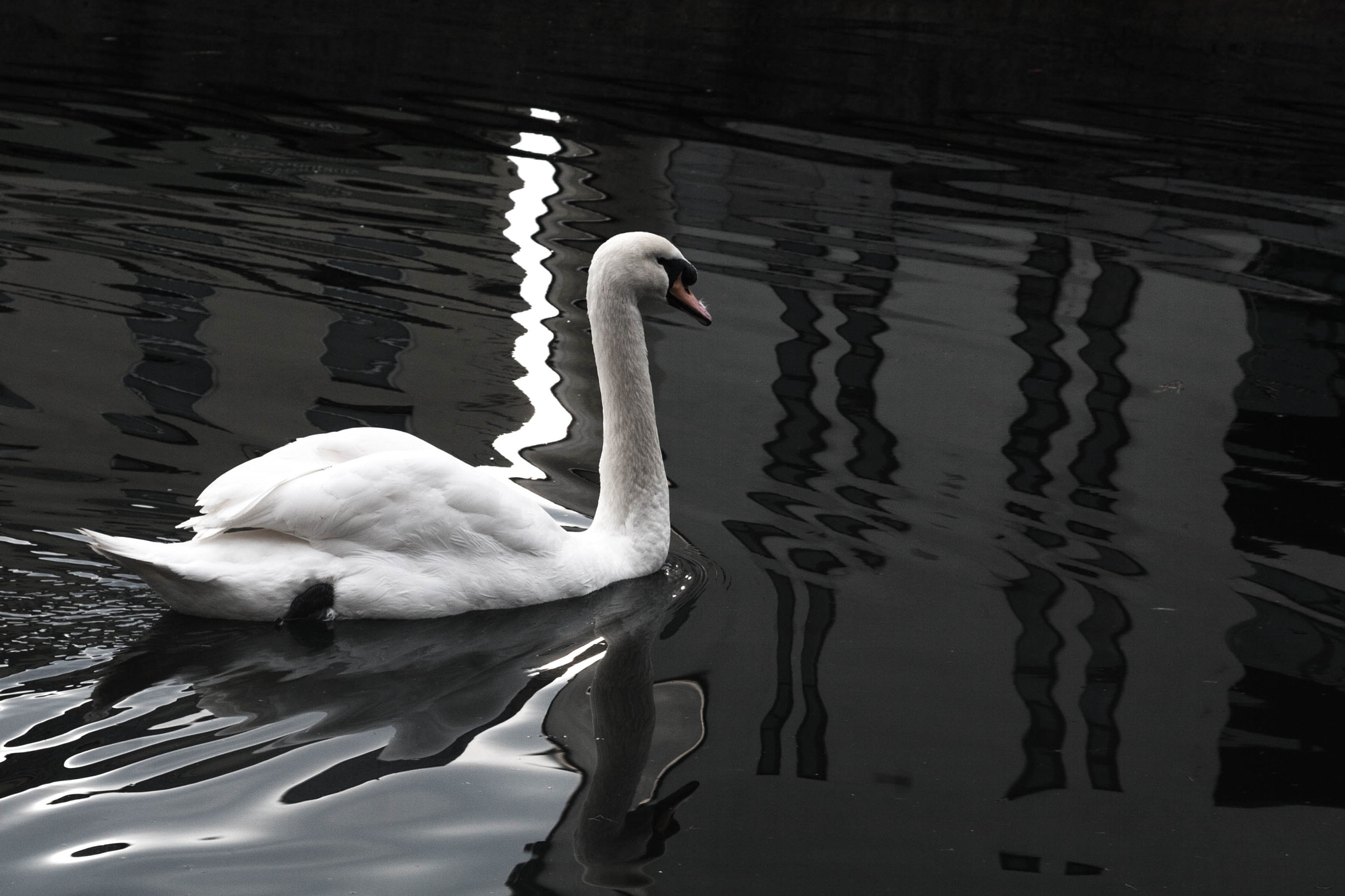 Canon EOS 30D + Canon EF 24-105mm F4L IS USM sample photo. Grand canal, dublin photography