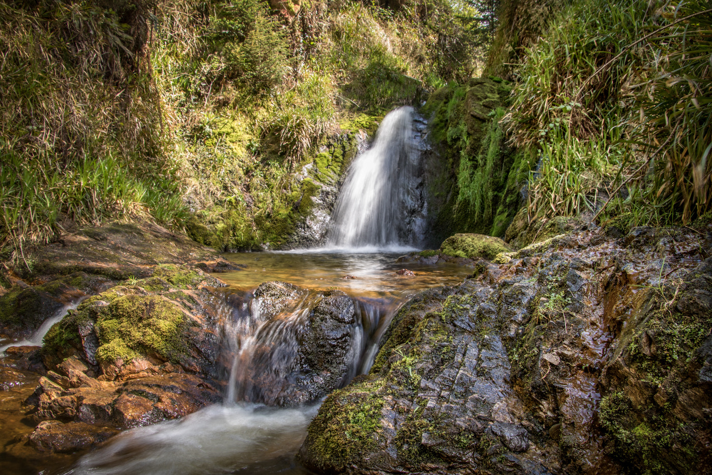 Canon EOS 760D (EOS Rebel T6s / EOS 8000D) sample photo. Forest stream photography