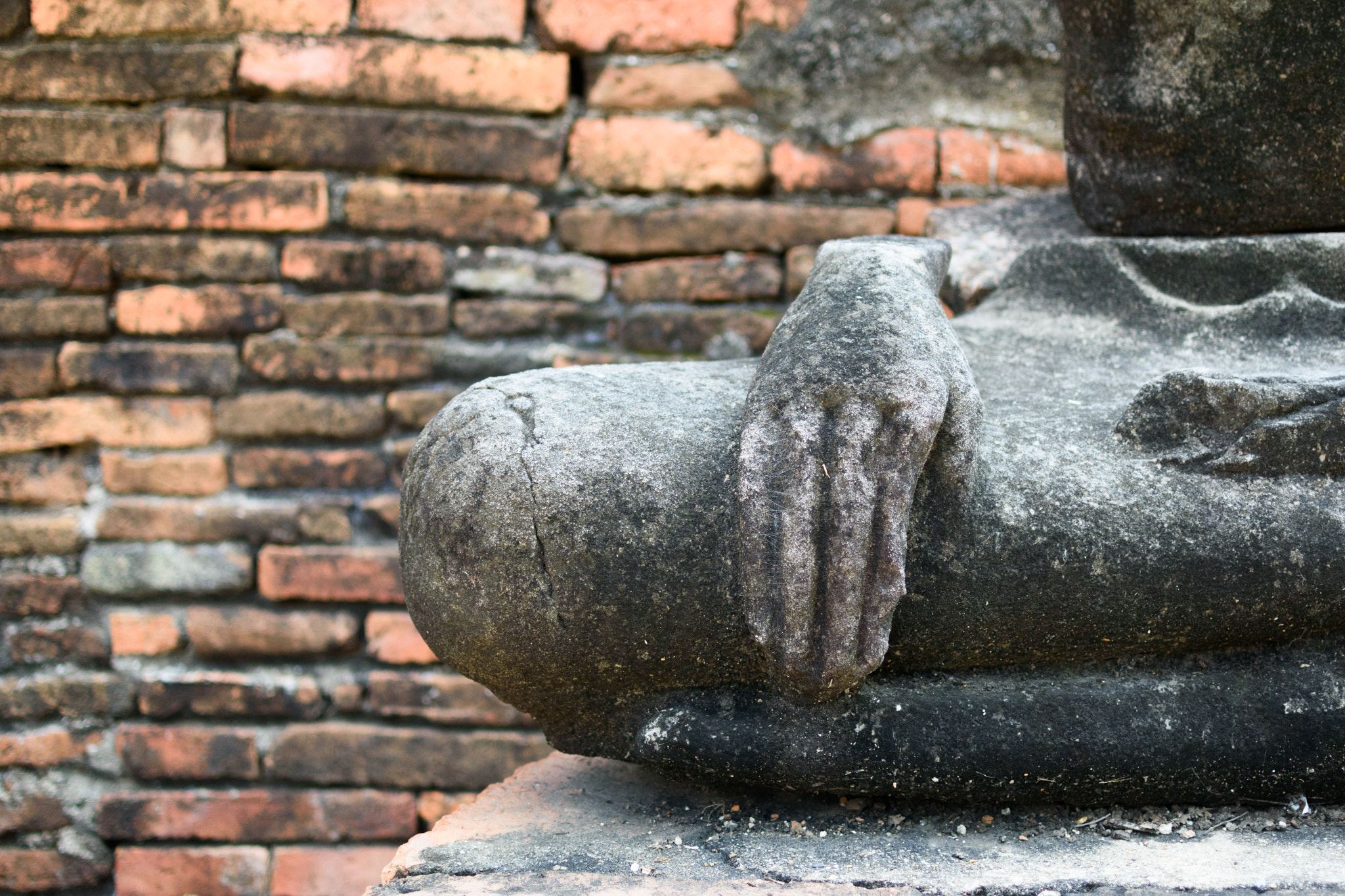 Nikon 1 J5 + Nikon 1 Nikkor 18.5mm F1.8 sample photo. Buddha's hand photography