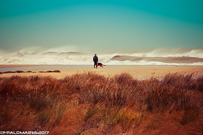 Canon EF 70-200mm F2.8L IS USM sample photo. Paseo photography