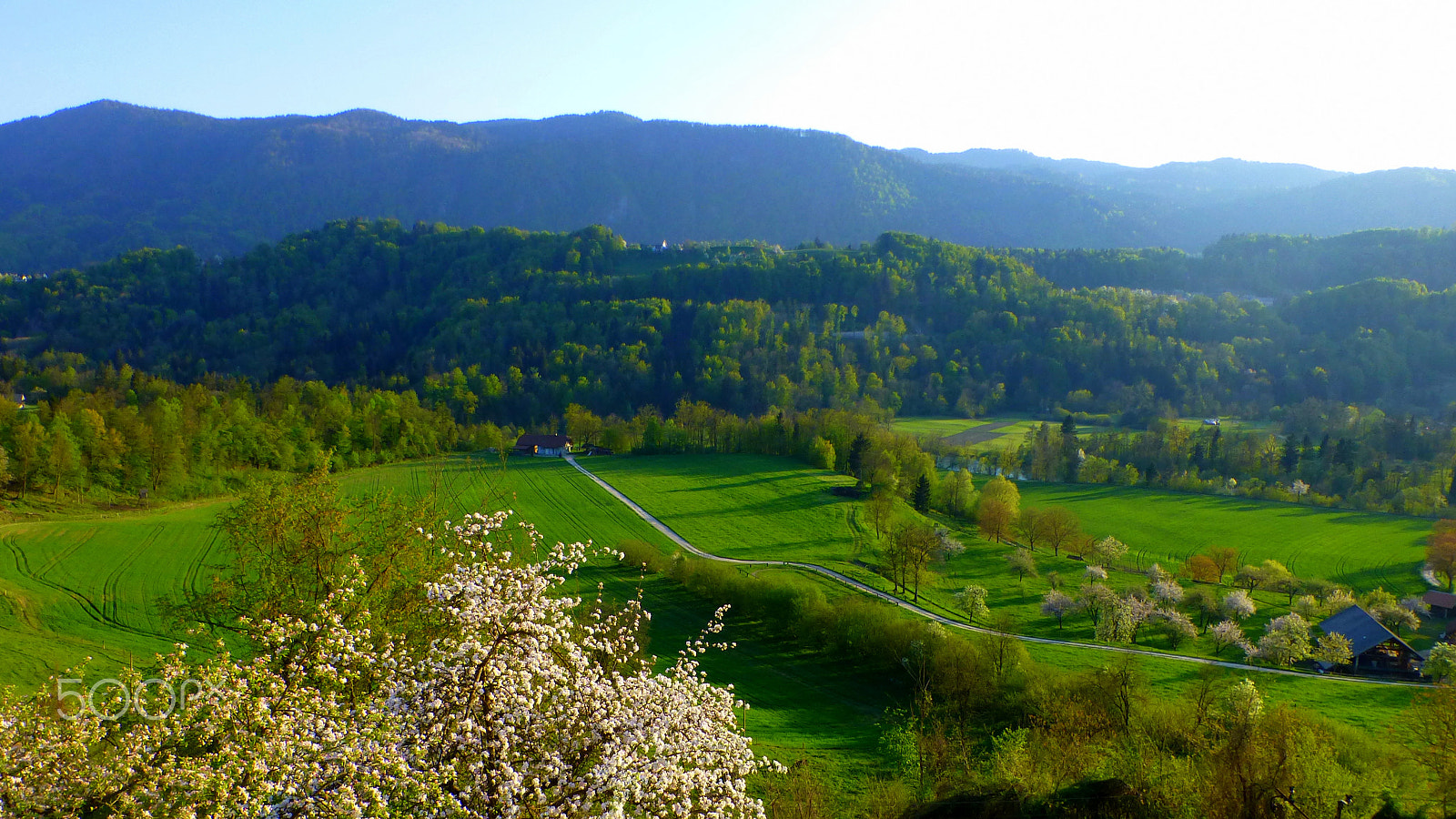 Panasonic DMC-TZ31 sample photo. Radovljica sava valley photography