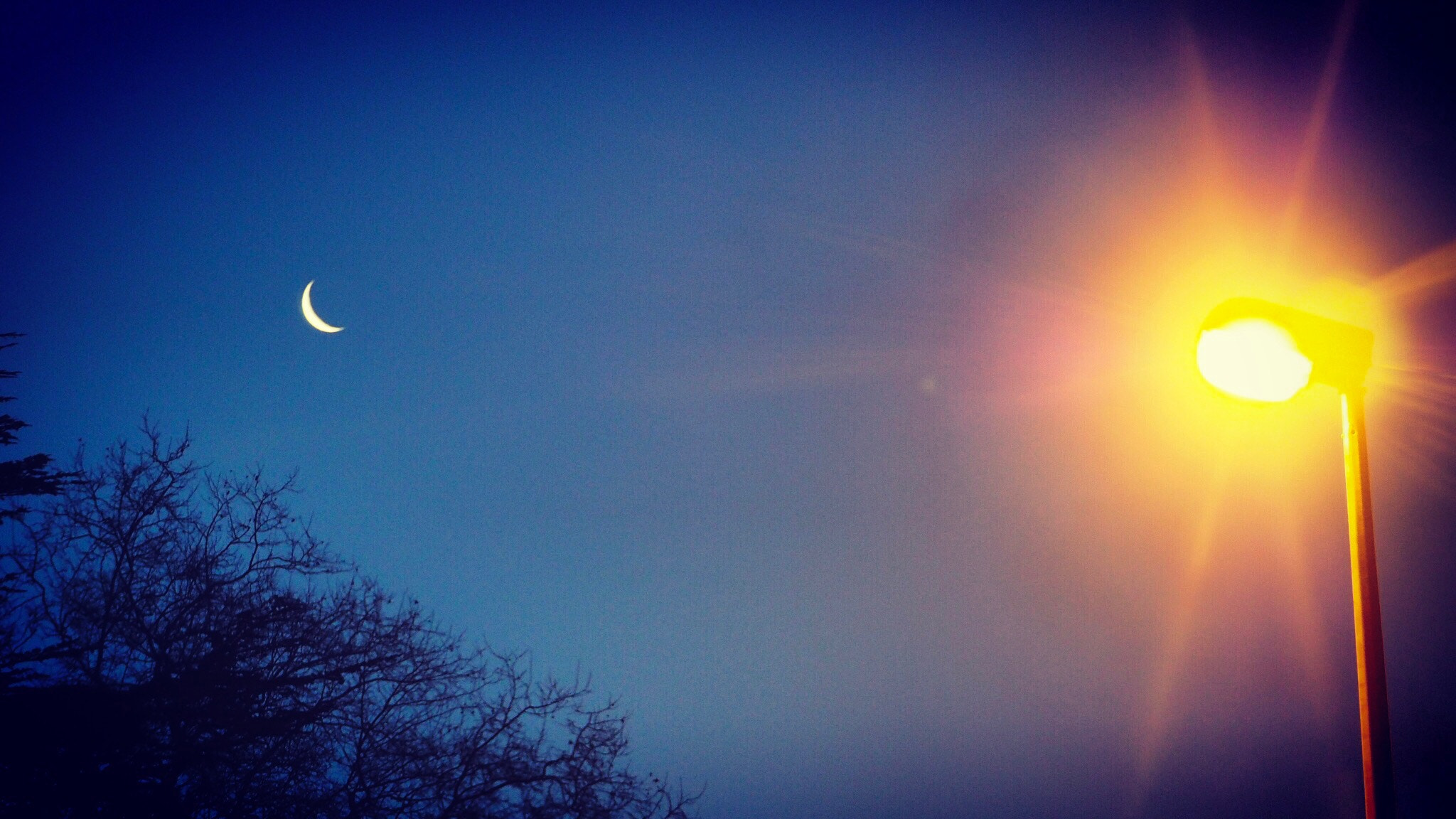 Olympus OM-D E-M10 II sample photo. Light and moon photography