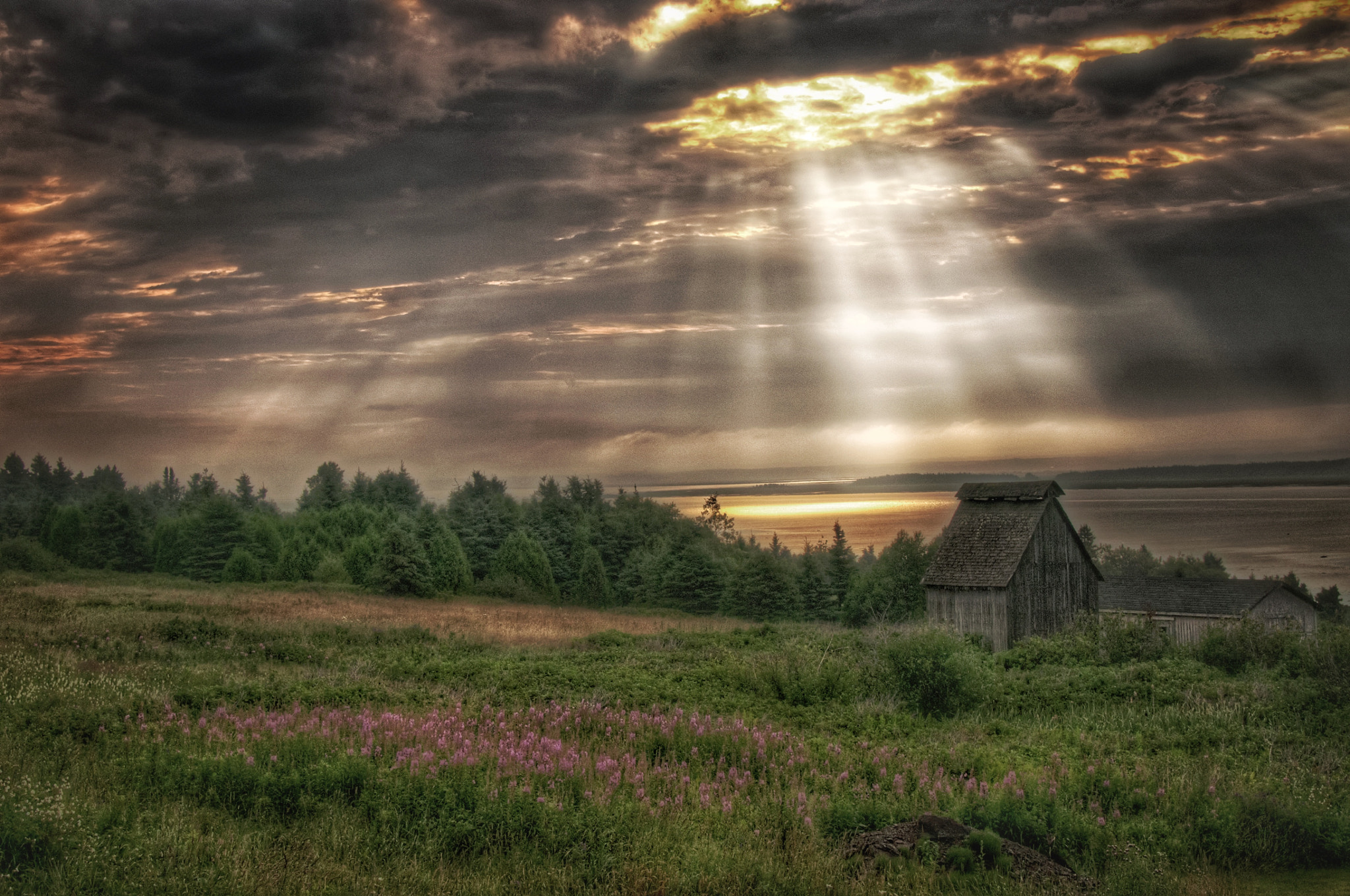 Nikon D300 + Sigma 18-250mm F3.5-6.3 DC OS HSM sample photo. Just after the storm the d'un came out. photography