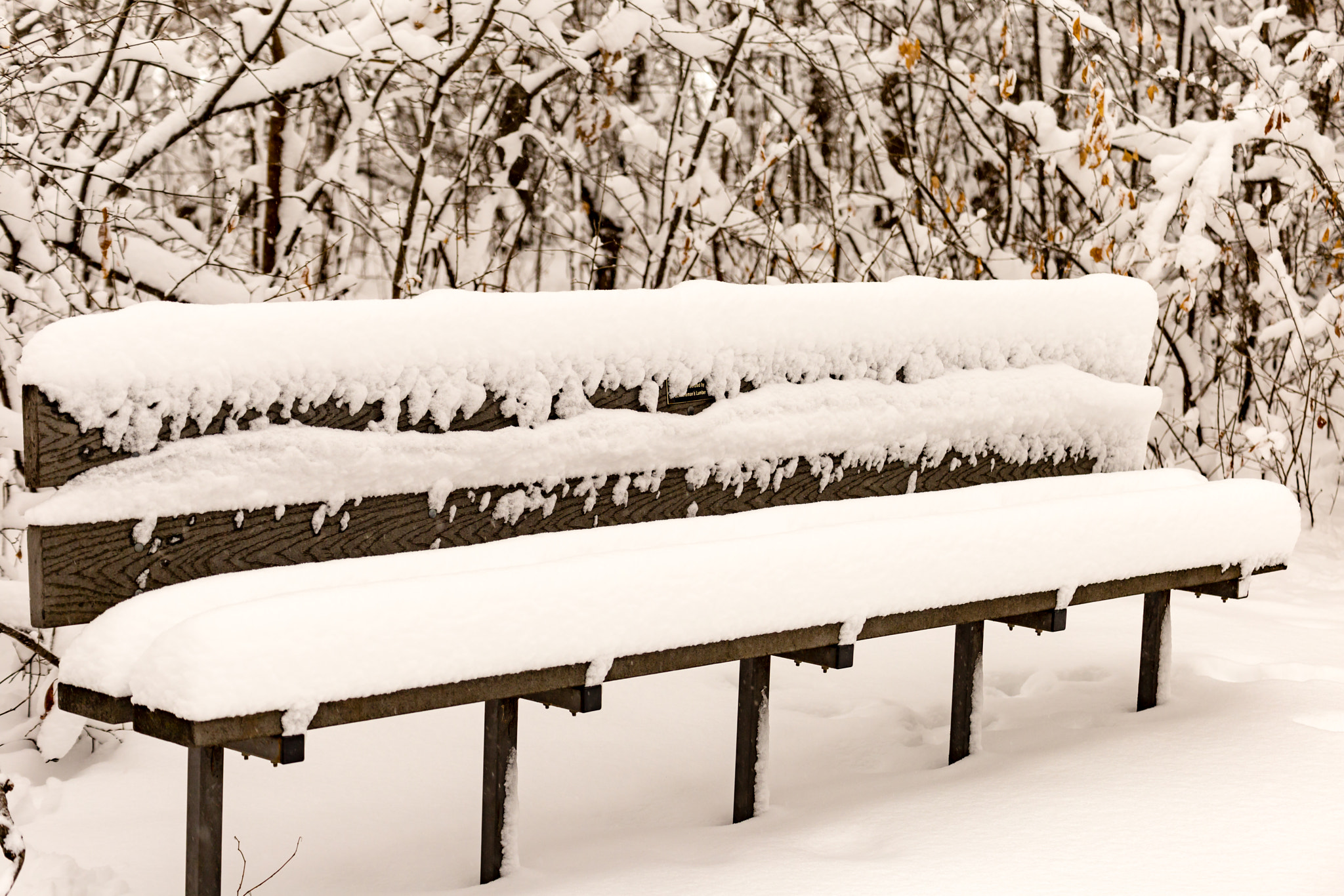 Tamron SP 35mm F1.8 Di VC USD sample photo. Park bench in snow photography
