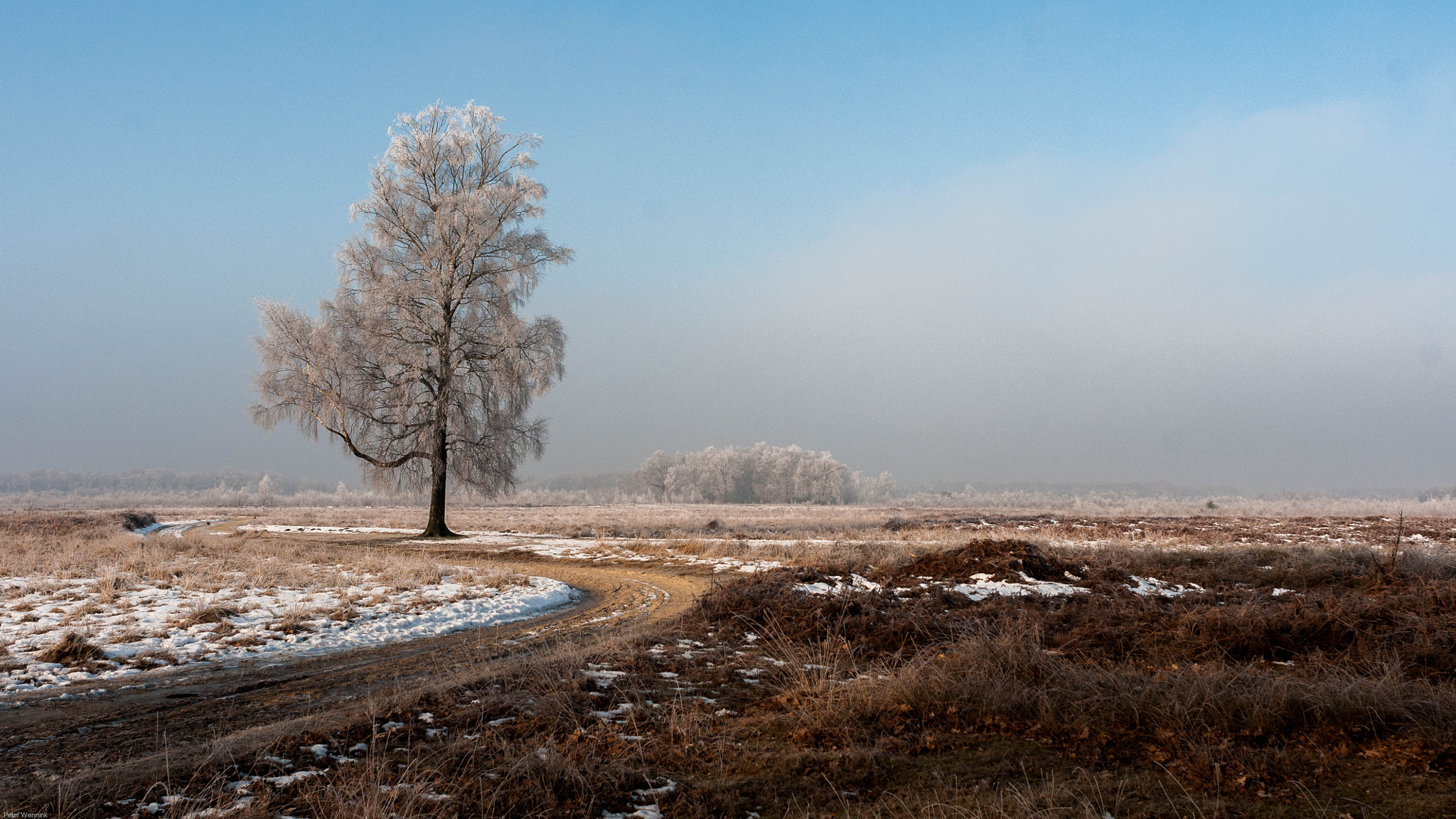 Nikon D300S + Nikon AF Nikkor 24mm F2.8D sample photo. Winter wonderland photography