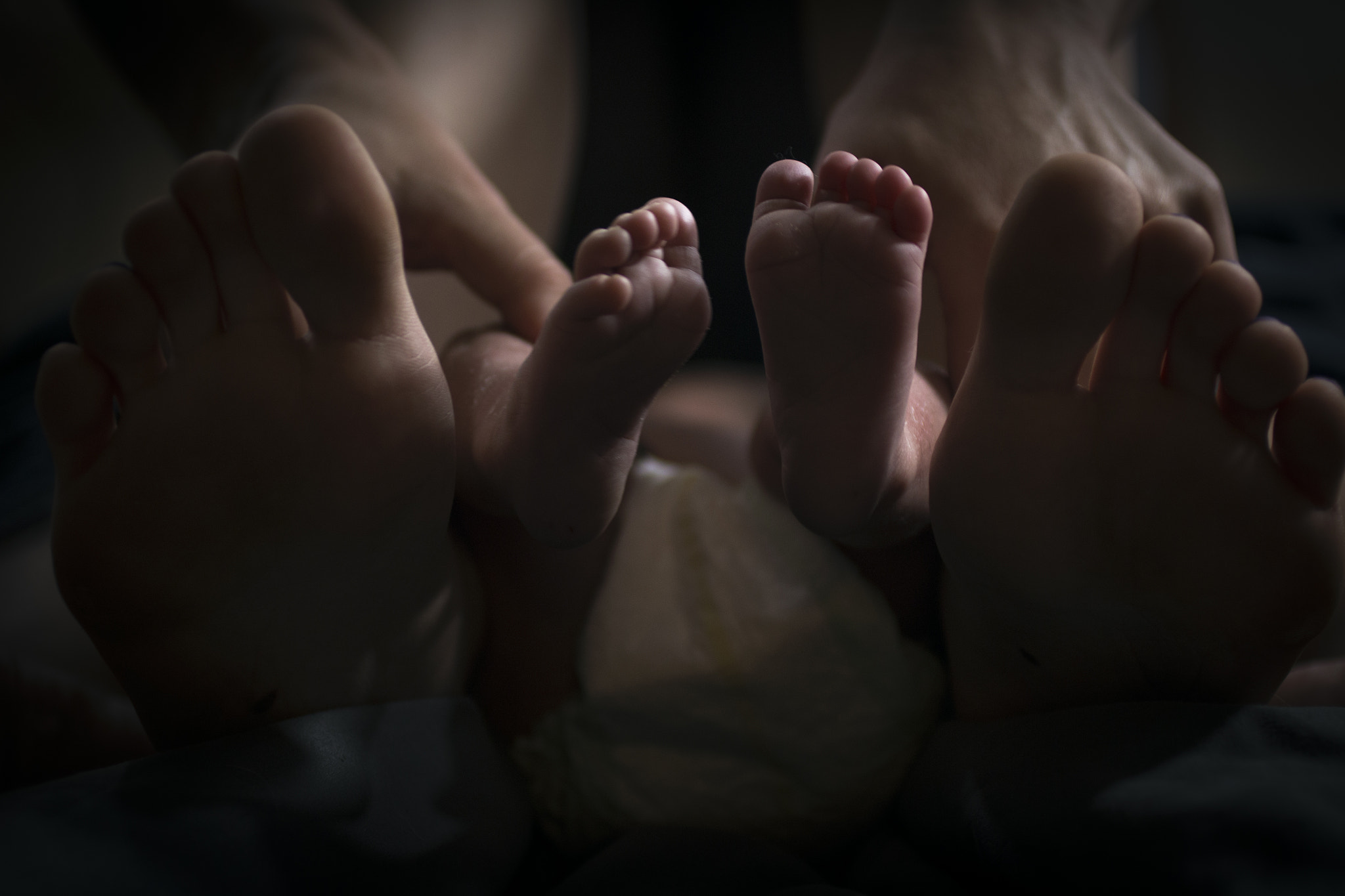 Canon EOS 70D + Canon EF 50mm F2.5 Macro sample photo. Tiny toes photography