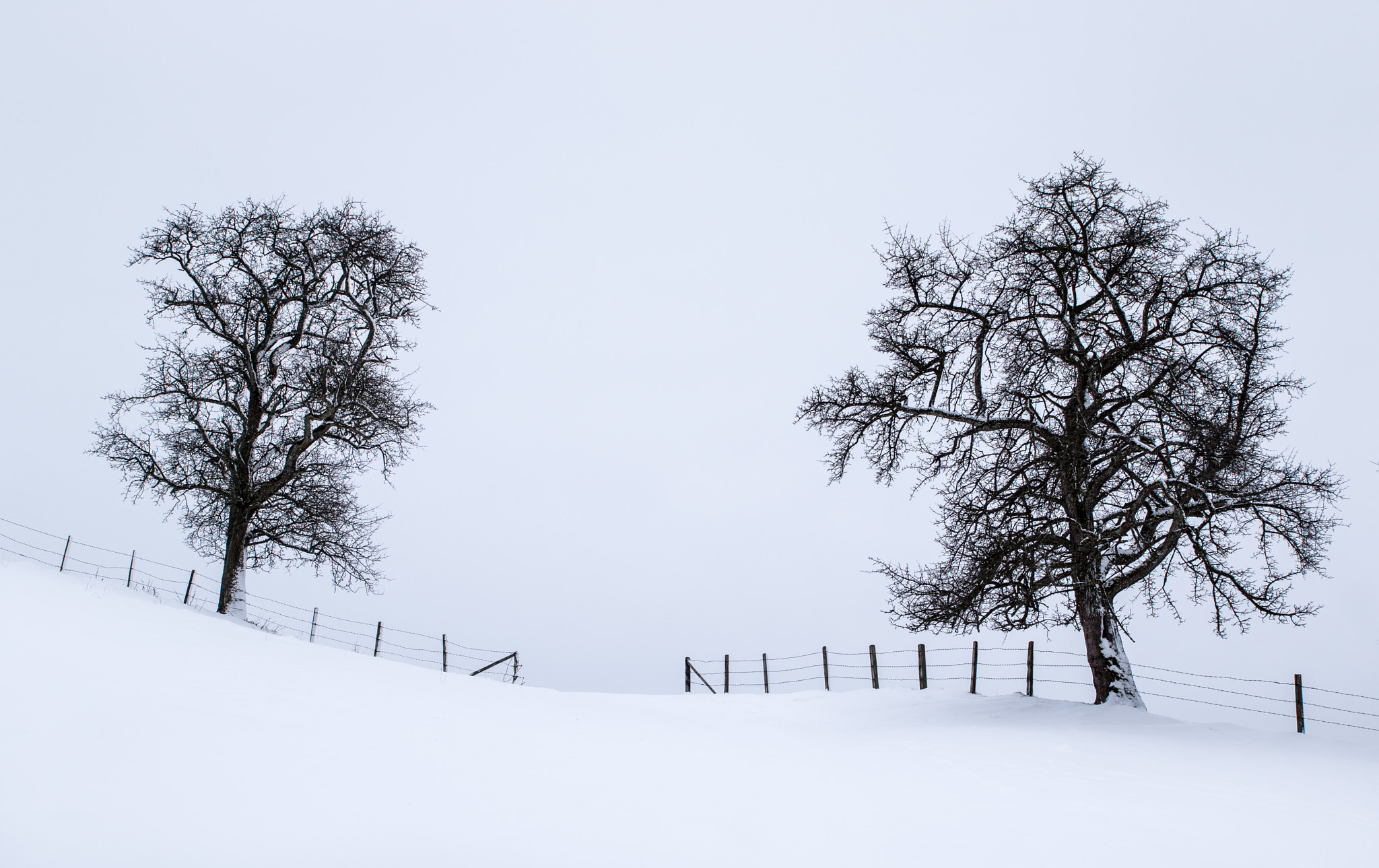 Sigma 24-70mm F2.8 EX DG Macro sample photo. Winter passage photography