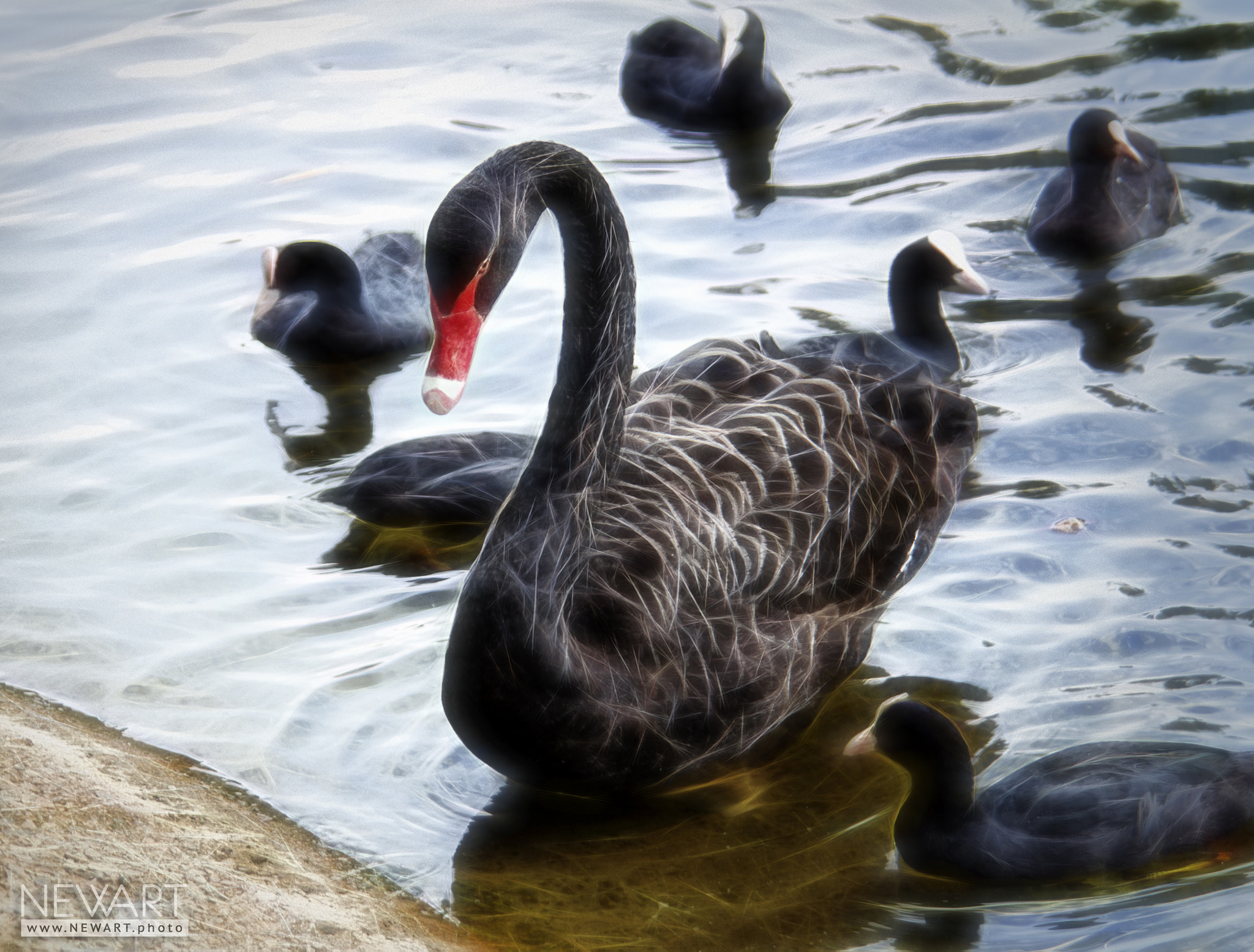 Canon EOS 60D sample photo. 4782 photography