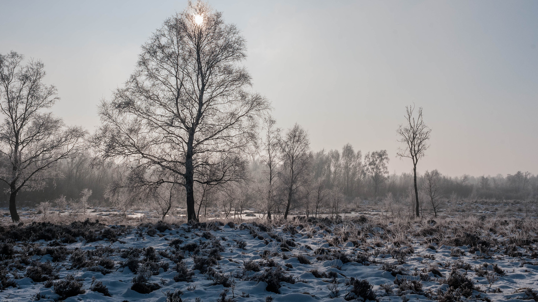 Nikon D300S + Nikon AF Nikkor 24mm F2.8D sample photo. Sunrise photography