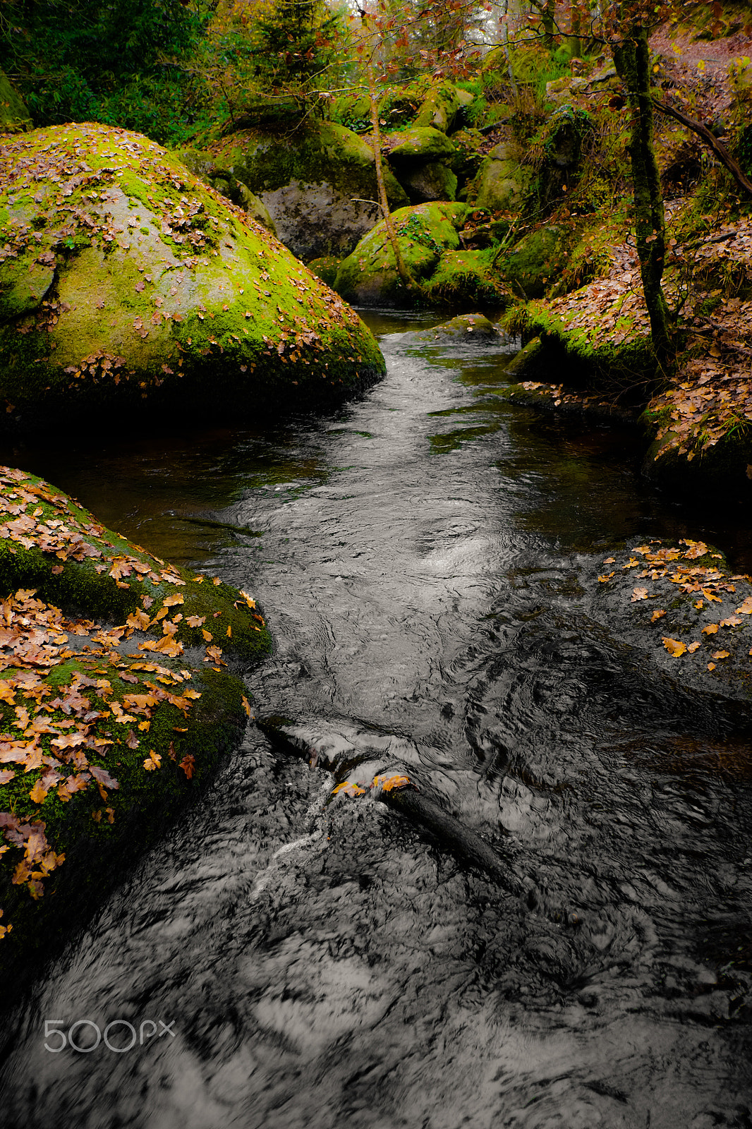 Fujifilm X-E1 + Fujifilm XF 18mm F2 R sample photo. Rivière d'argent, huelgoat photography
