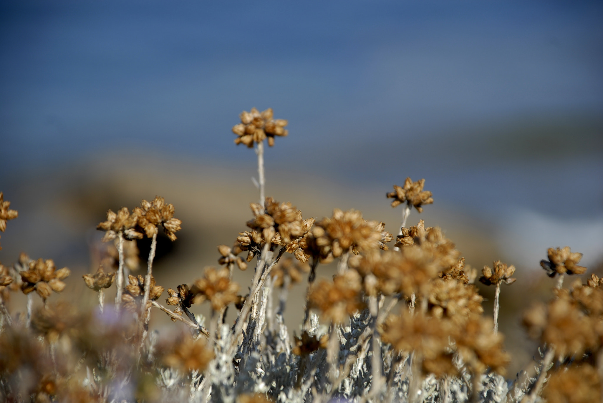Nikon D200 sample photo. Nature photography
