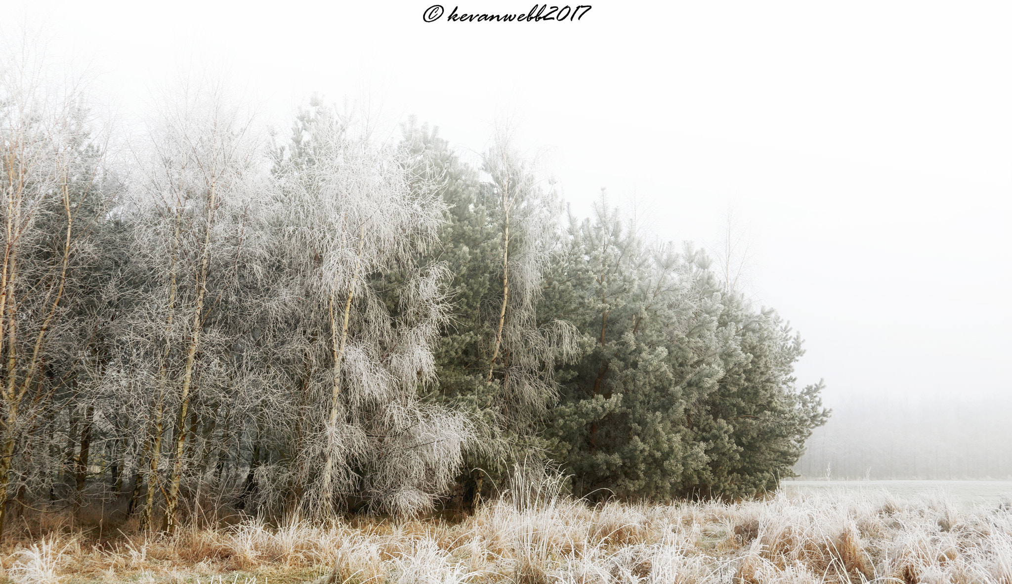 Canon EOS 760D (EOS Rebel T6s / EOS 8000D) sample photo. Windswept winter photography