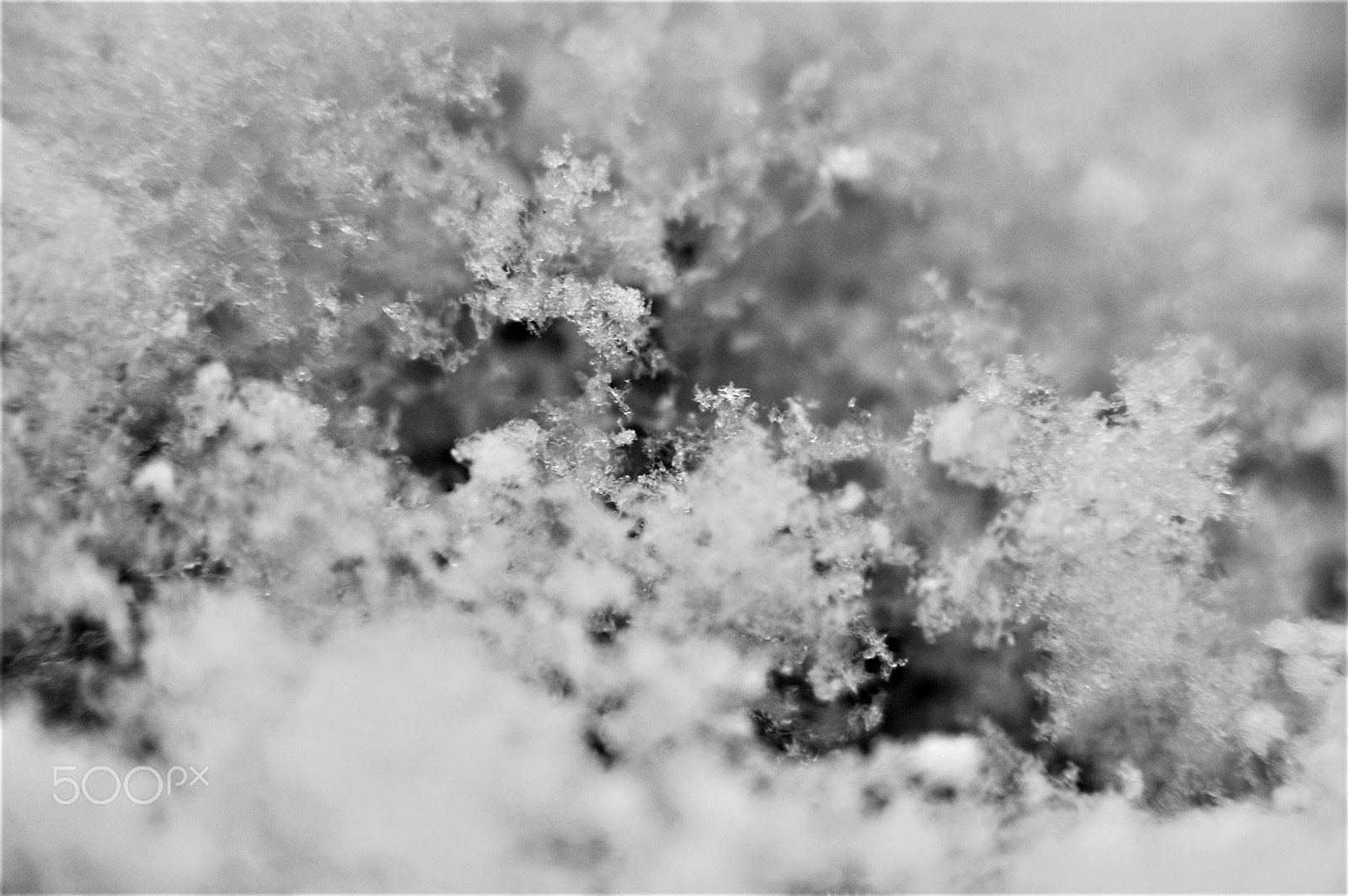 Nikon D40 sample photo. Flakes of snow photography