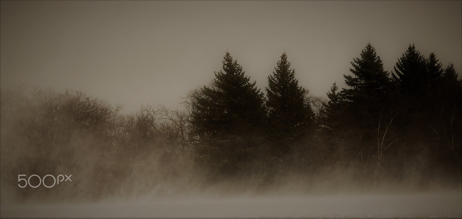 Nikon D40 sample photo. Eddies of snow photography