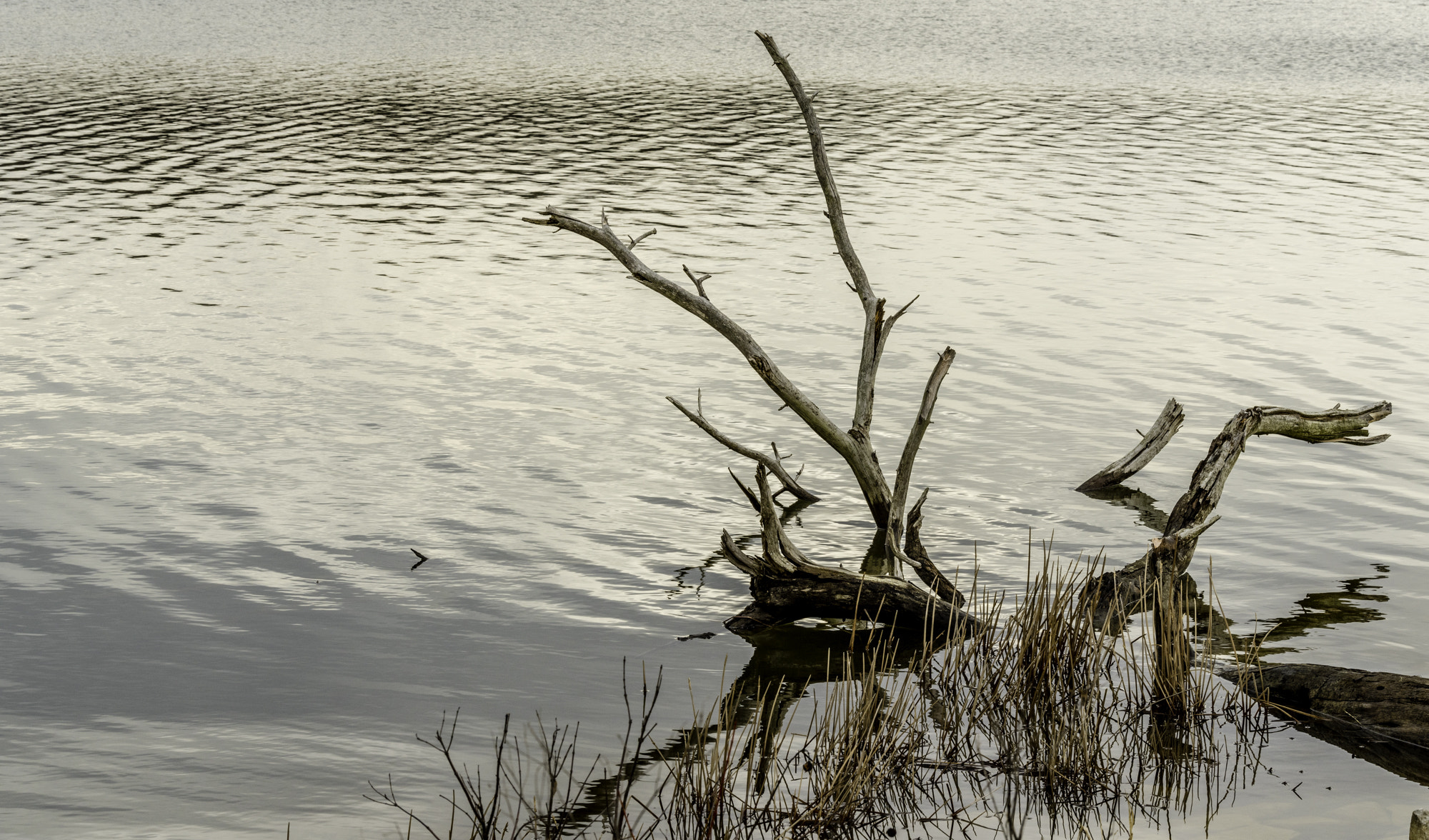 Pentax K-1 sample photo. Img photography