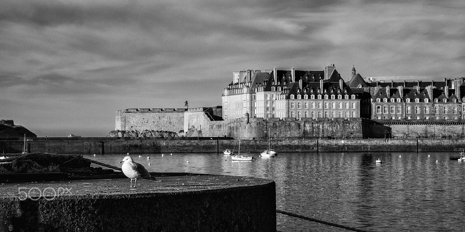 Fujifilm X-E1 + Fujifilm XF 60mm F2.4 R Macro sample photo. Saint malo photography