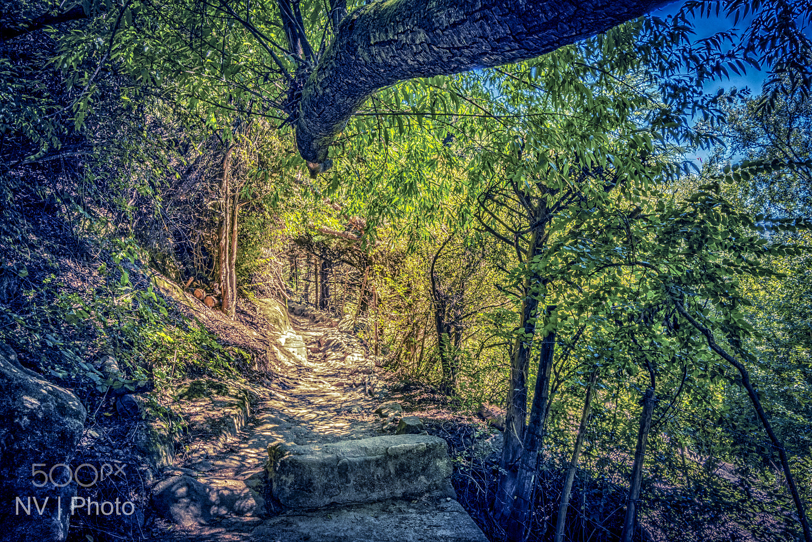 Nikon D7100 + Nikon AF-S DX Nikkor 18-55mm F3.5-5.6G II sample photo. Hdr en el bosque photography