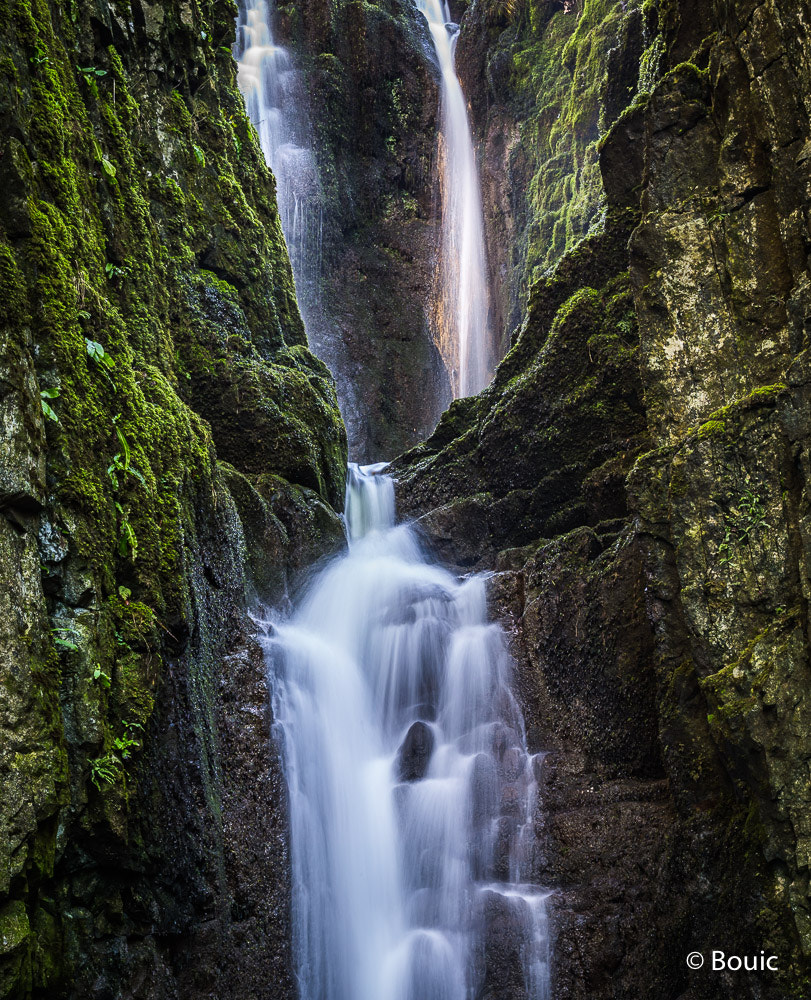 Leica S (TYP 006) + Summarit-S 70 sample photo. Catrigg force photography