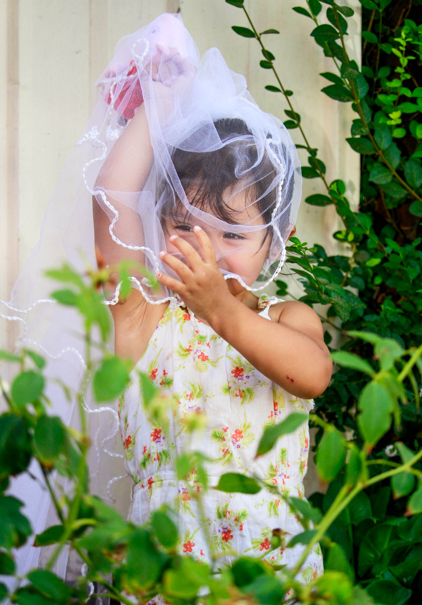 Canon EF-S 55-250mm F4-5.6 IS STM sample photo. Agus photography