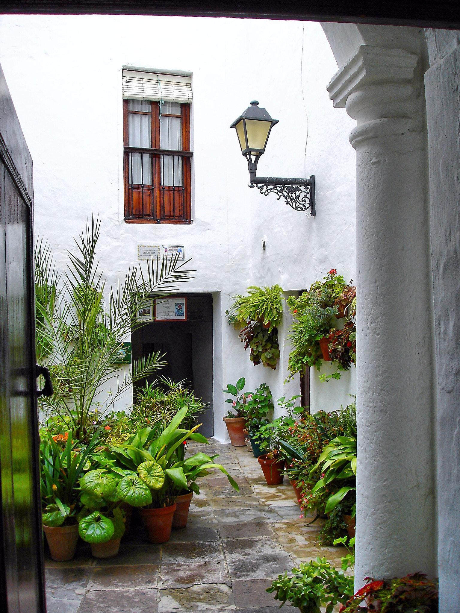 Sony DSC-P100 sample photo. Vejer de la frontera photography