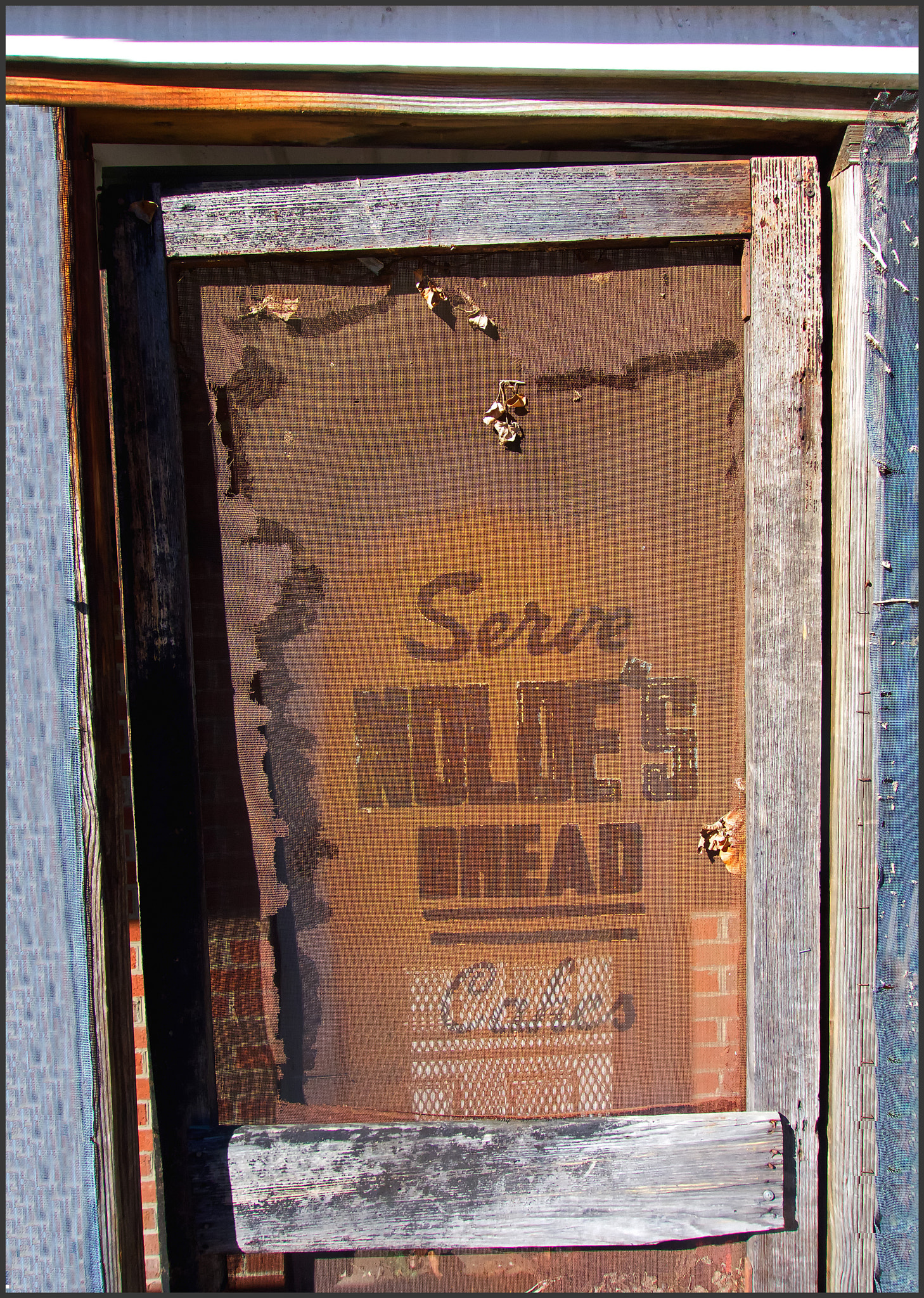 Hasselblad Stellar sample photo. Cafe screen door photography