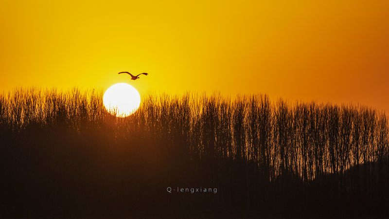 Canon EF 100-400mm F4.5-5.6L IS USM sample photo