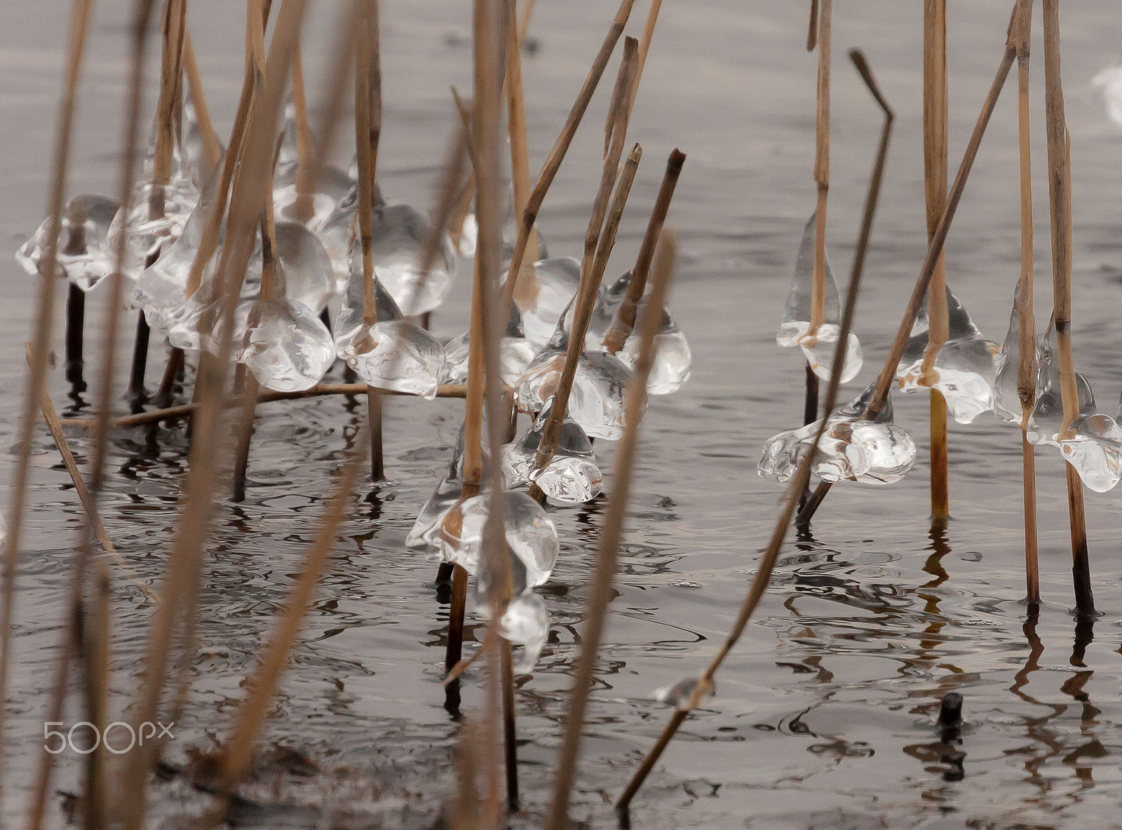 Canon EOS 40D sample photo. Ice bubbles photography