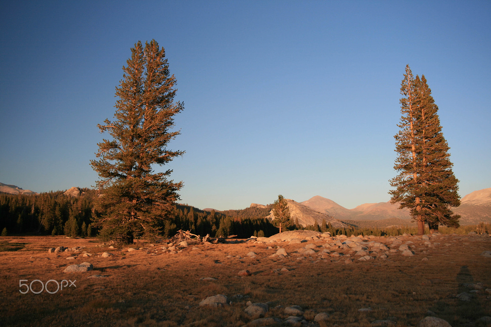 Sigma 18-50mm f/3.5-5.6 DC sample photo. Yosemite national park california us photography