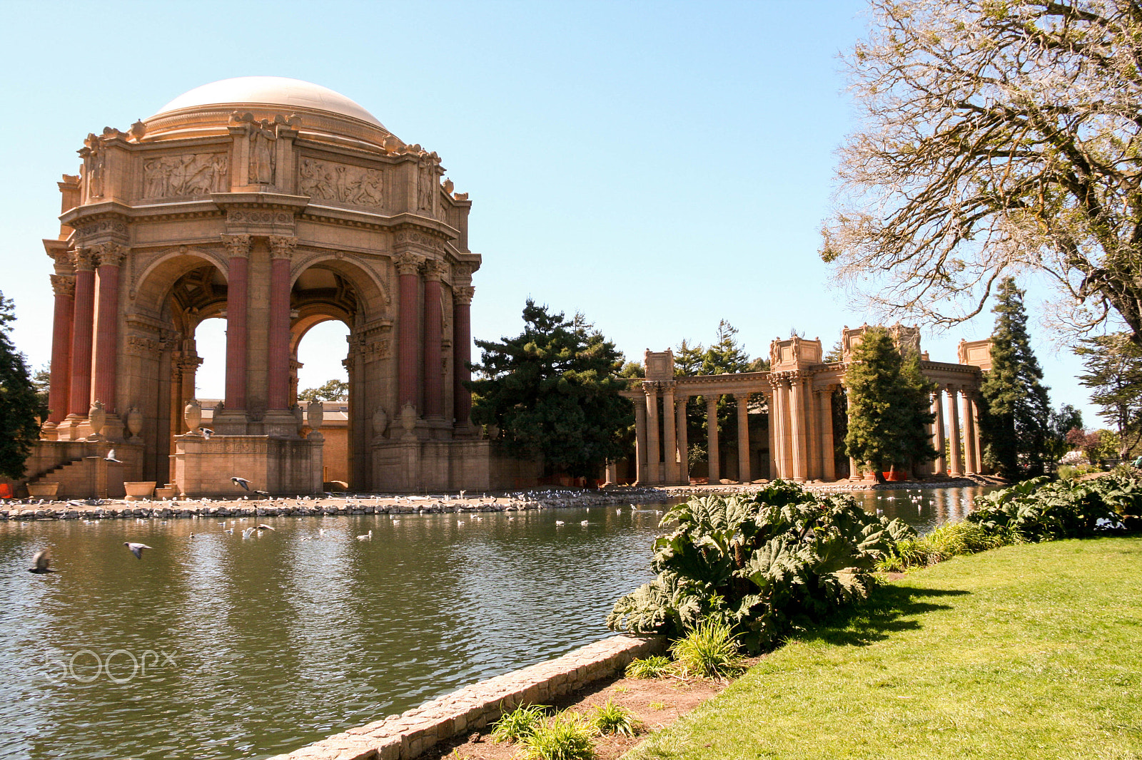 Canon EOS 400D (EOS Digital Rebel XTi / EOS Kiss Digital X) sample photo. Palace of fine arts theatre san francisco us photography