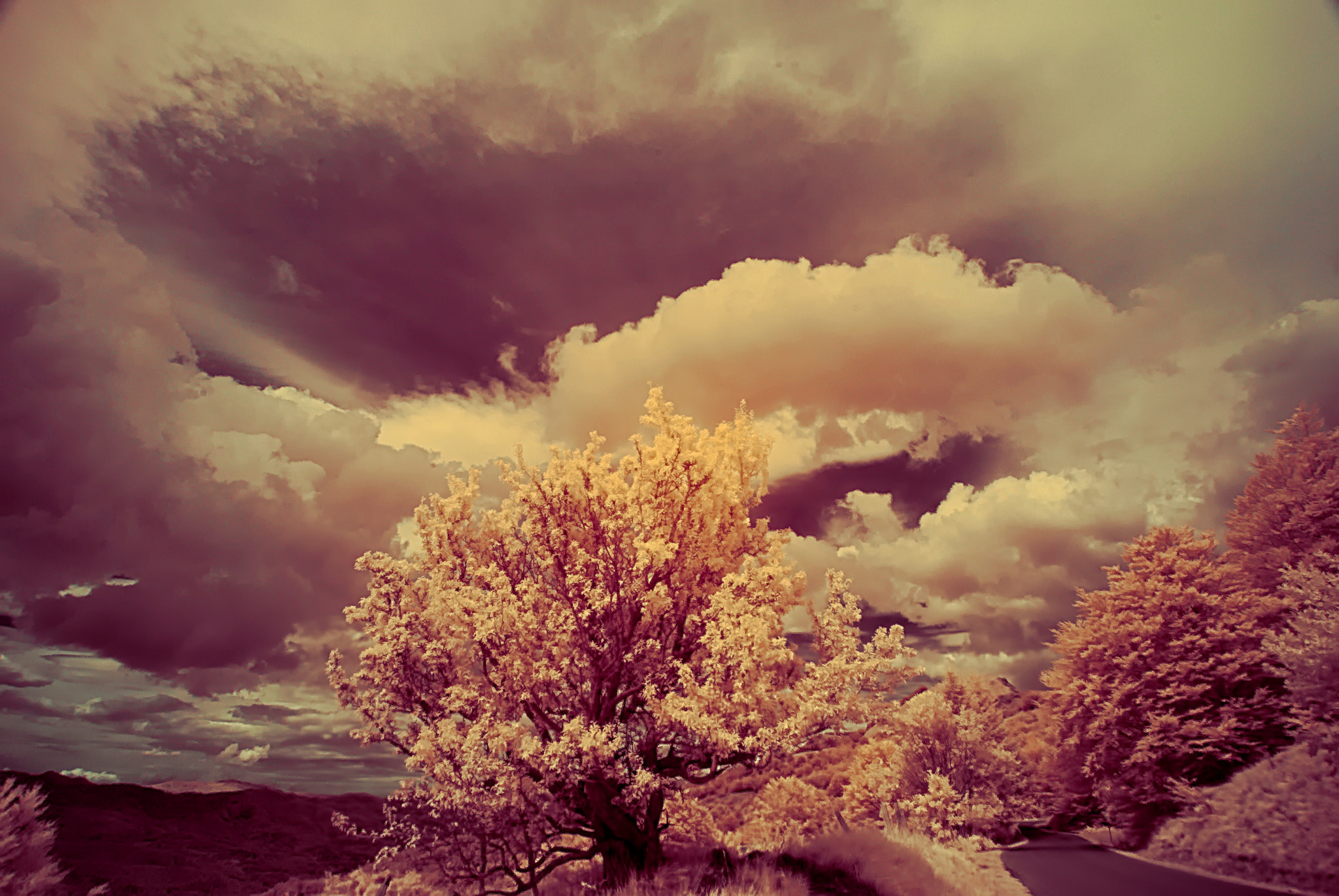 Nikon D80 sample photo. Sky road photography