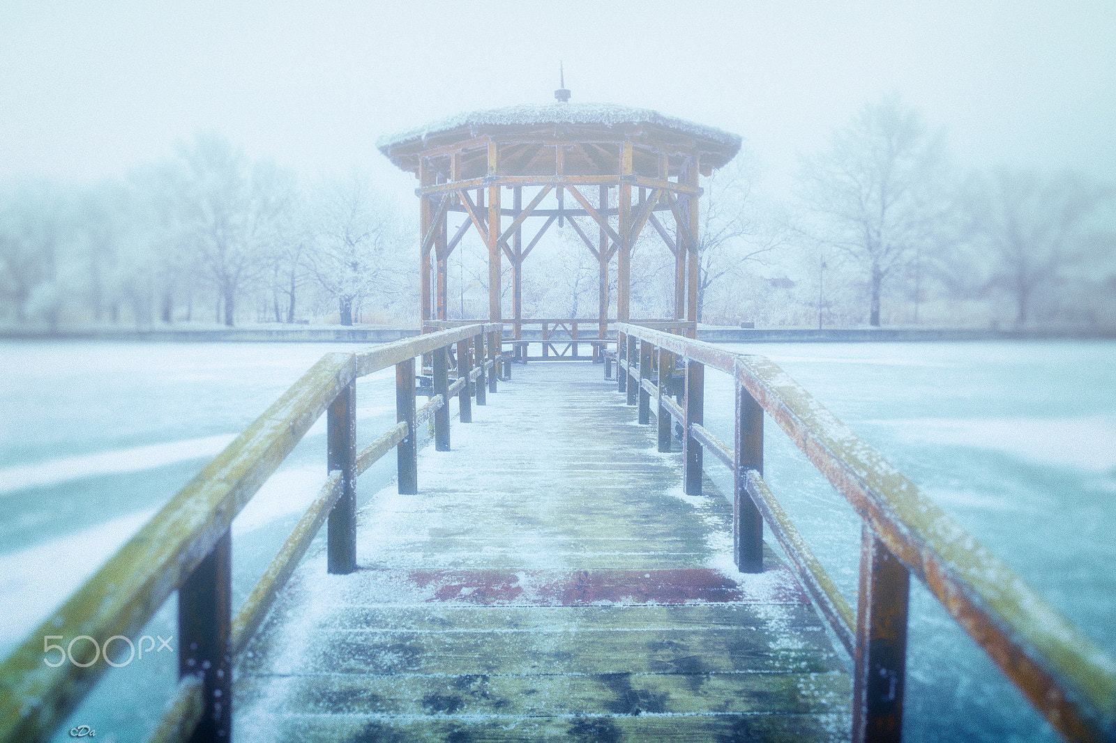 Sigma 17-70mm F2.8-4 DC Macro OS HSM sample photo. Frozen joy photography