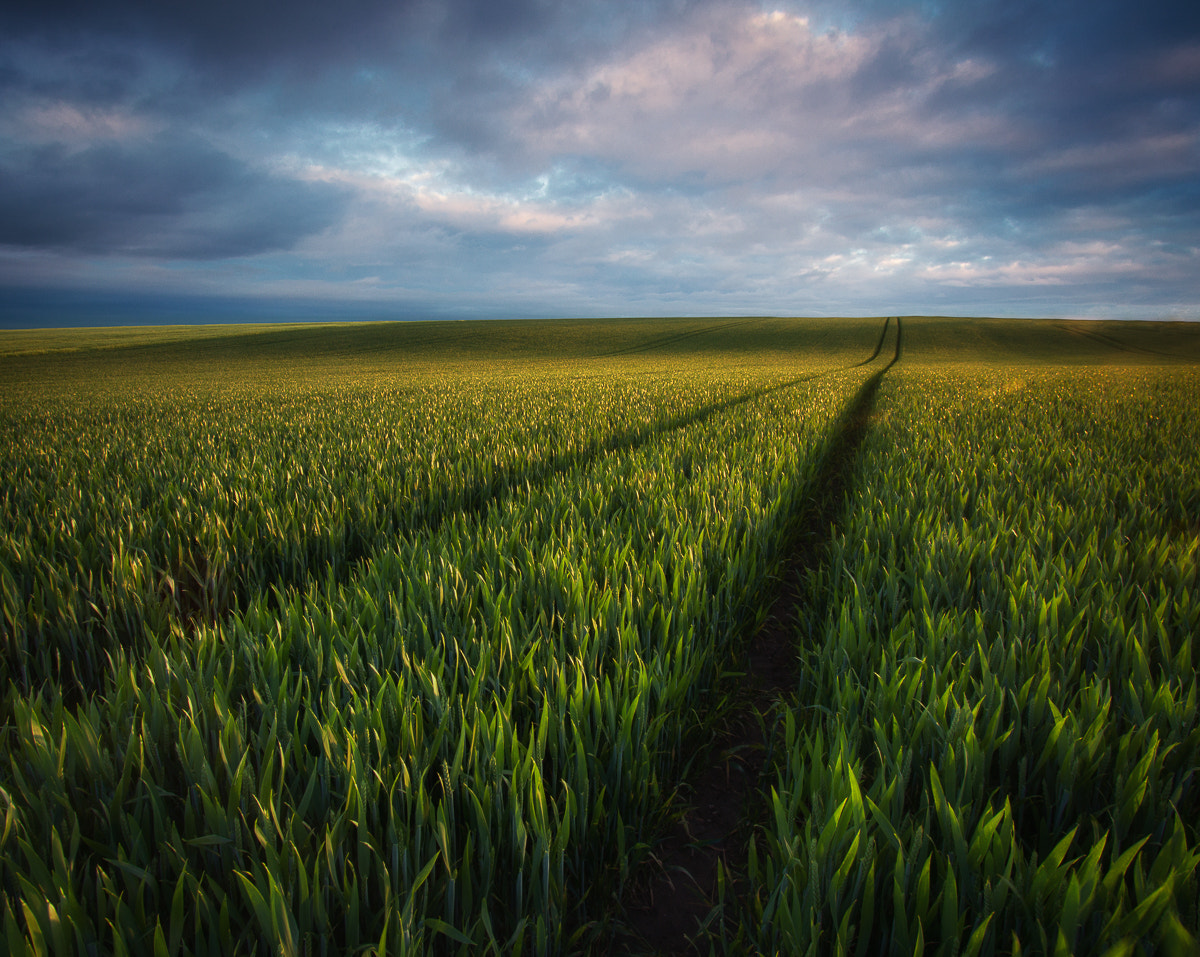 Canon EF-S 10-22mm F3.5-4.5 USM sample photo. Crop fields photography