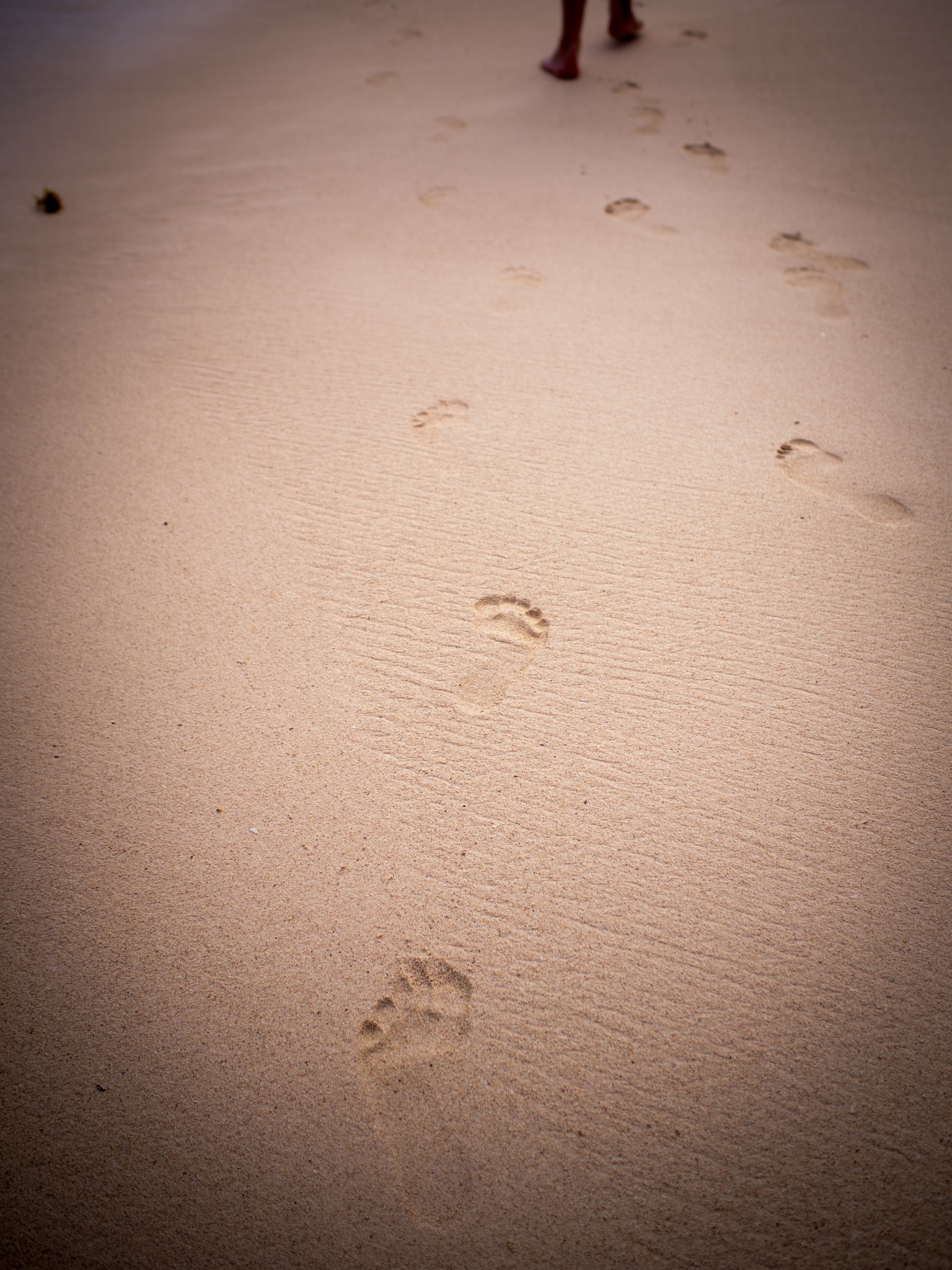 Olympus OM-D E-M5 sample photo. Footprints in the sand photography