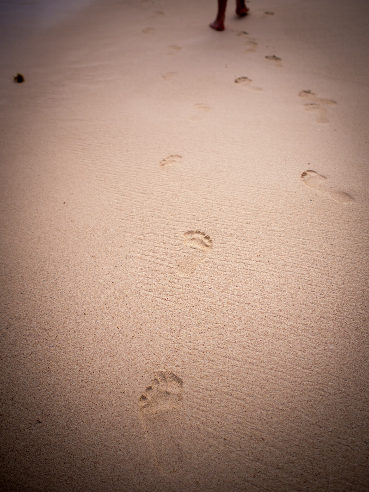 Olympus OM-D E-M5 + Olympus M.Zuiko Digital 17mm F1.8 sample photo. Footprints in the sand photography