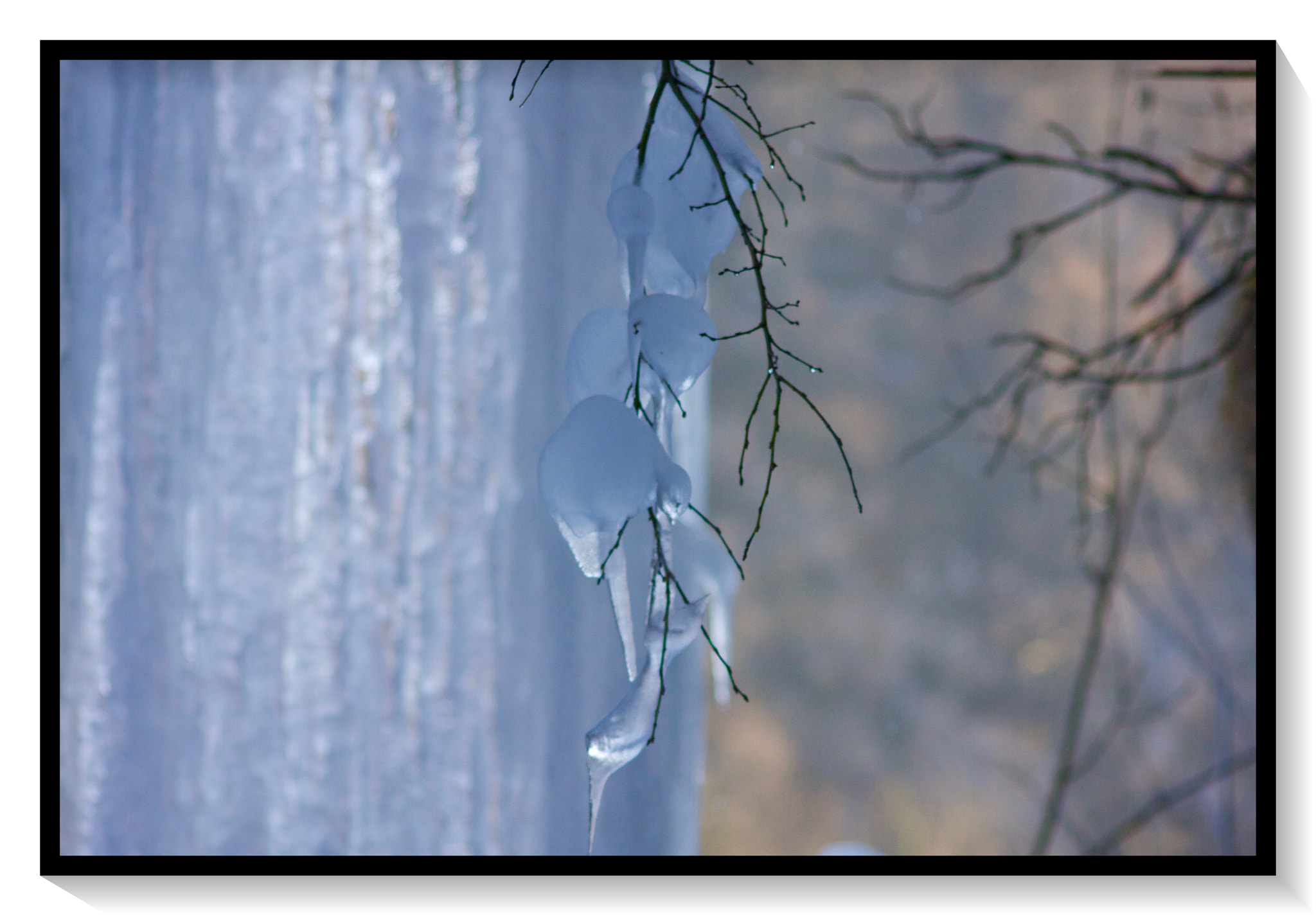 Canon EOS 40D sample photo. Mg photography