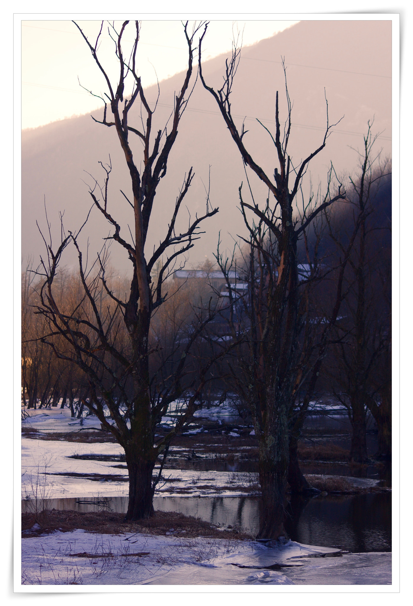 Canon EOS 40D sample photo. Mg photography