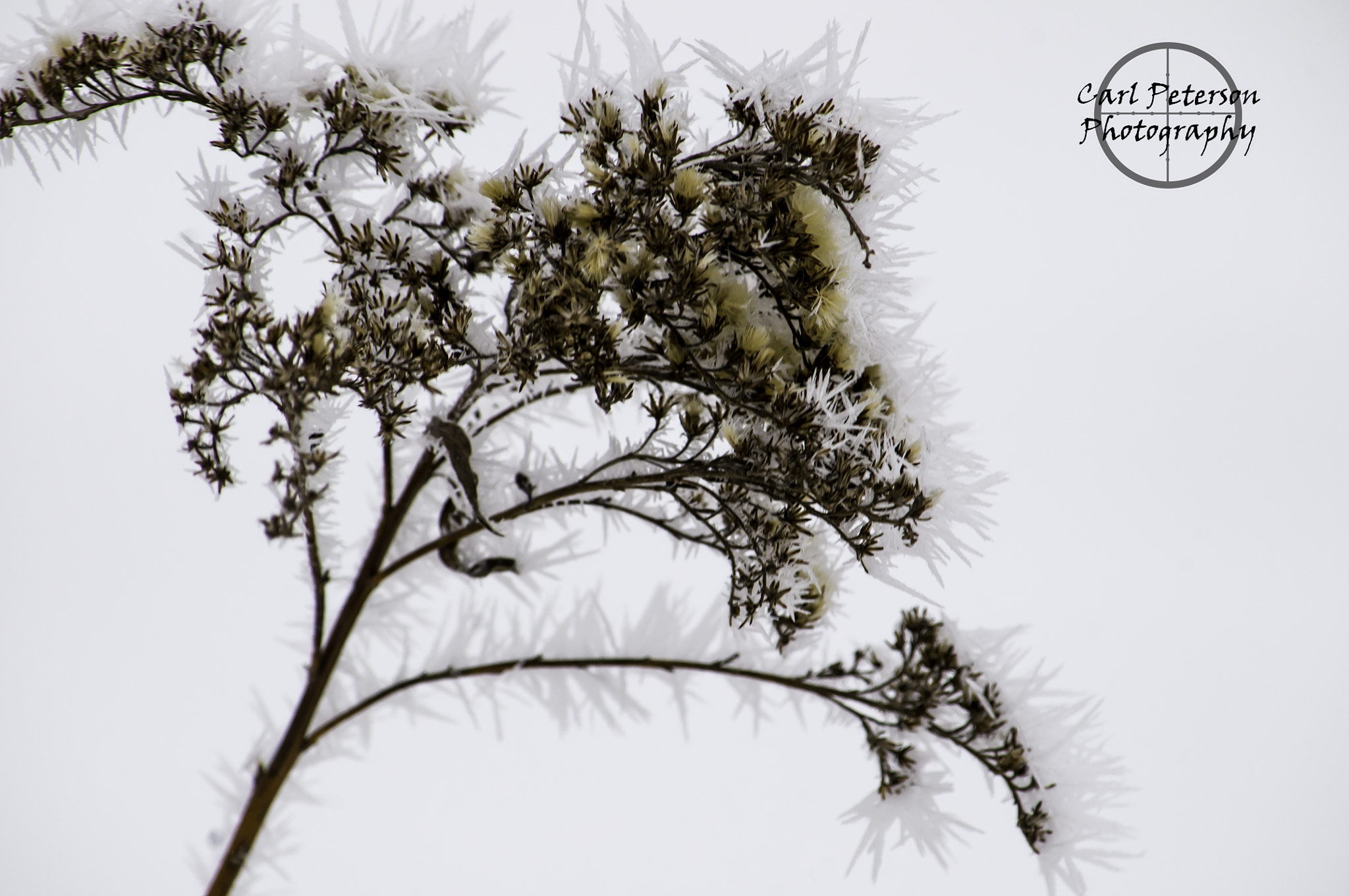 Nikon D300 sample photo. Fresh crystal breath photography