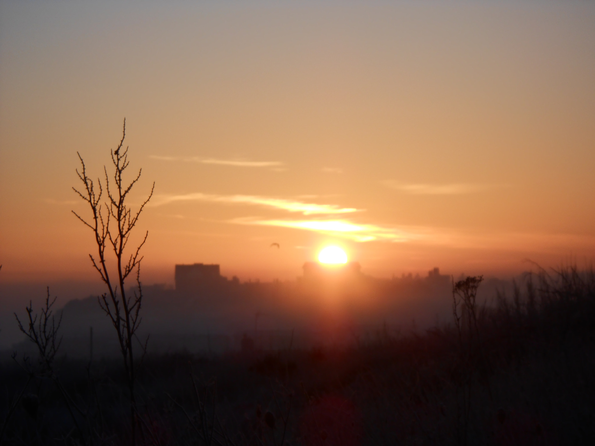 Nikon COOLPIX S2700 sample photo. A morning  photography