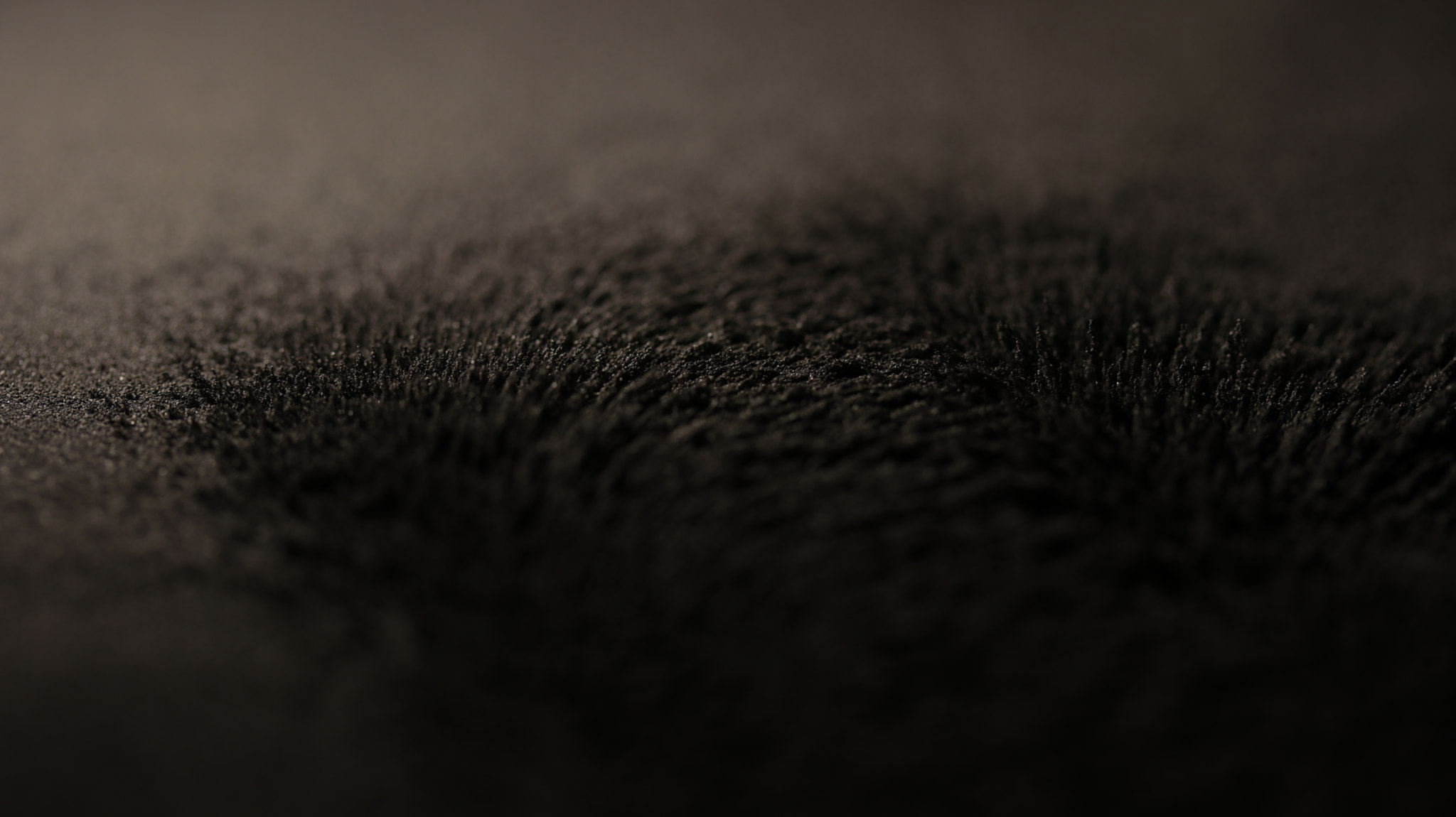 Canon EF-S 60mm F2.8 Macro USM sample photo. Interaction 170125 photography
