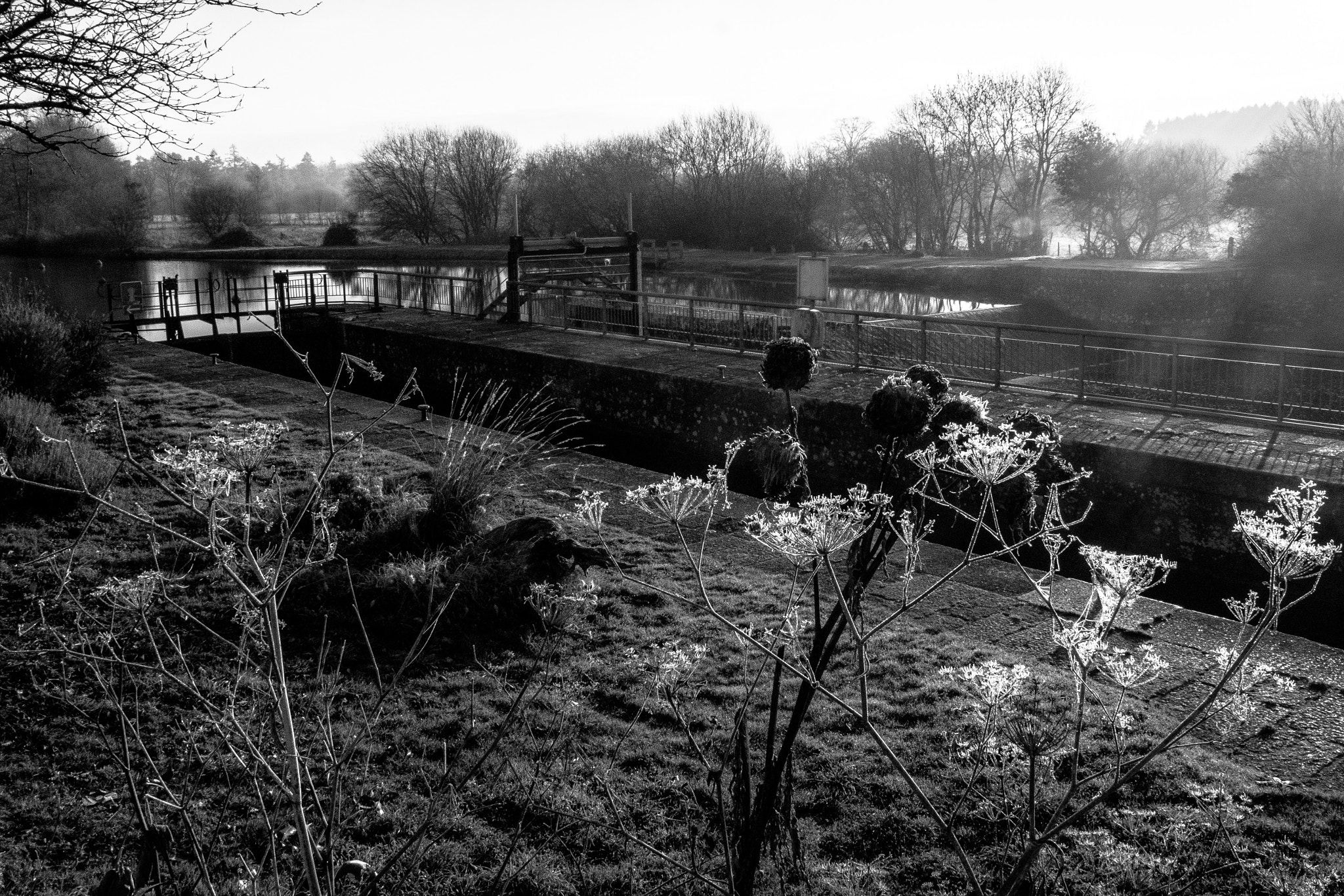 Fujifilm X-Pro2 sample photo. Canal photography