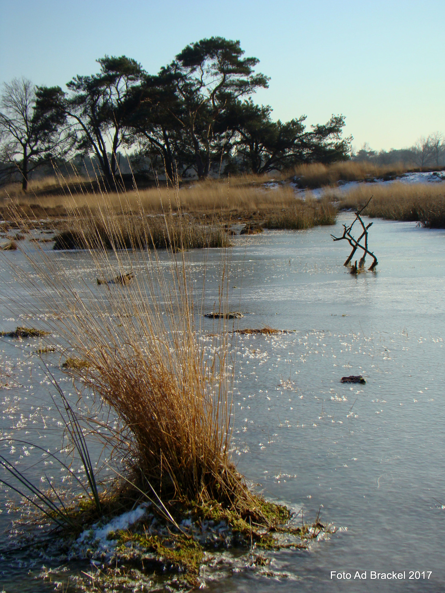 Sony DSC-H7 sample photo. Dutch forest lake winter 2017 photography