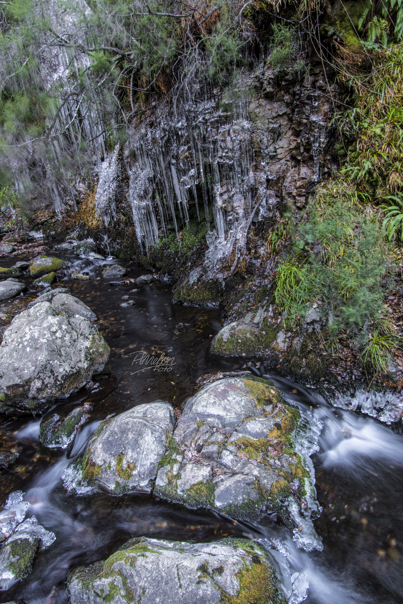 Tamron 16-300mm F3.5-6.3 Di II VC PZD Macro sample photo. Hielo en nocedo photography