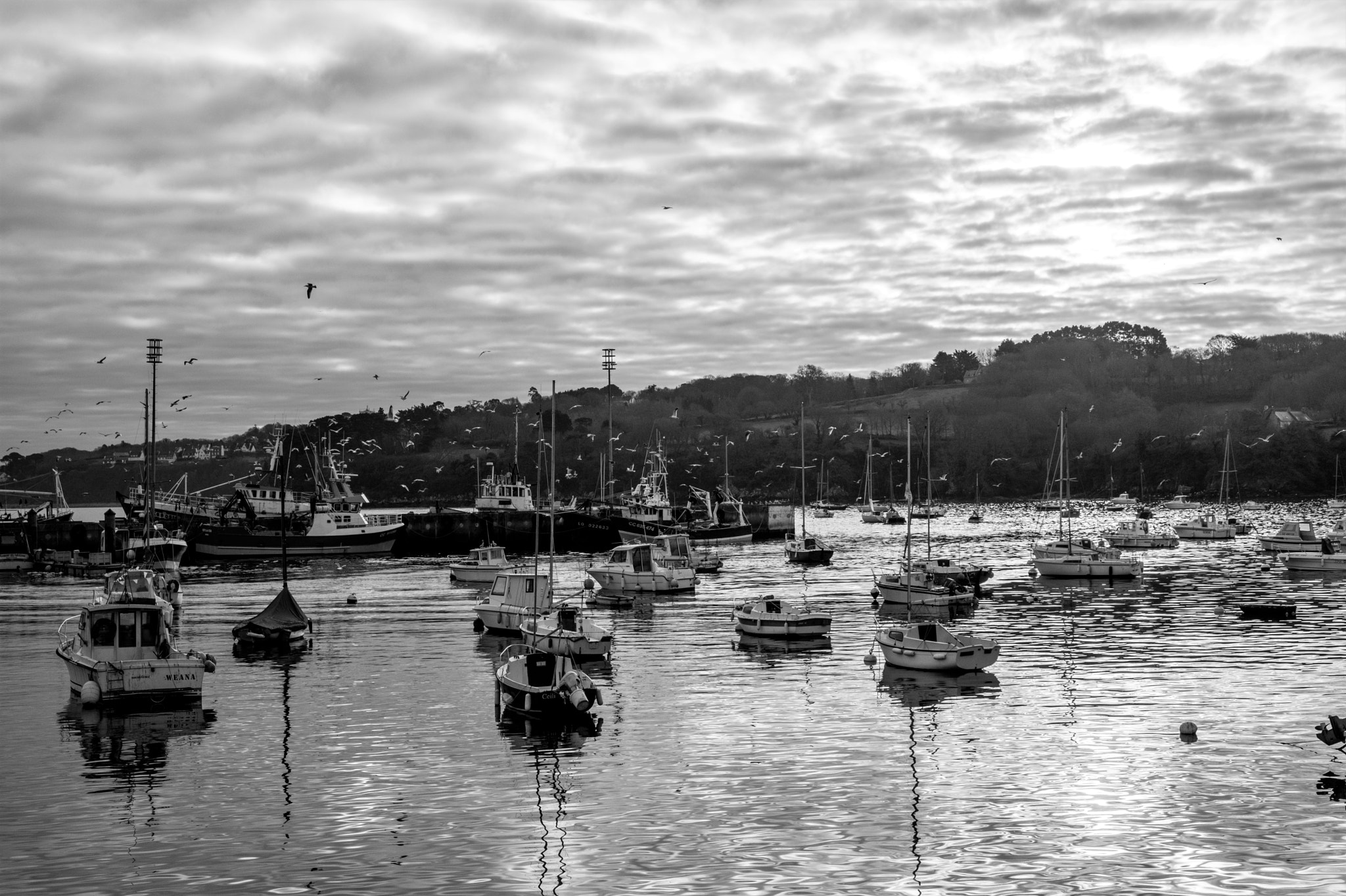 Fujifilm X-Pro2 + Fujifilm XF 18-55mm F2.8-4 R LM OIS sample photo. Fishing port photography