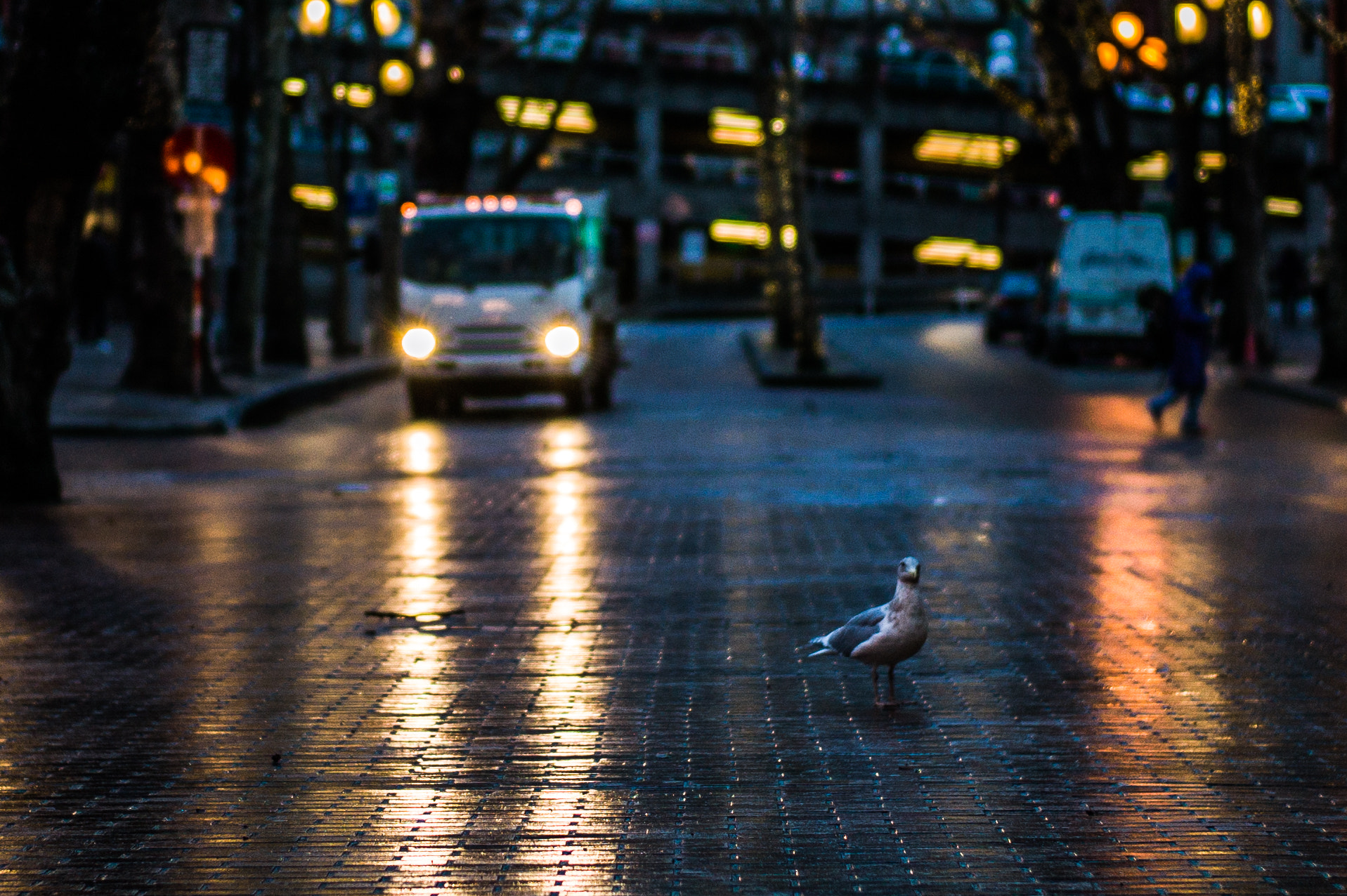 Leica M9 + Leica Summilux-M 50mm F1.4 ASPH sample photo. The seattle downtown photography